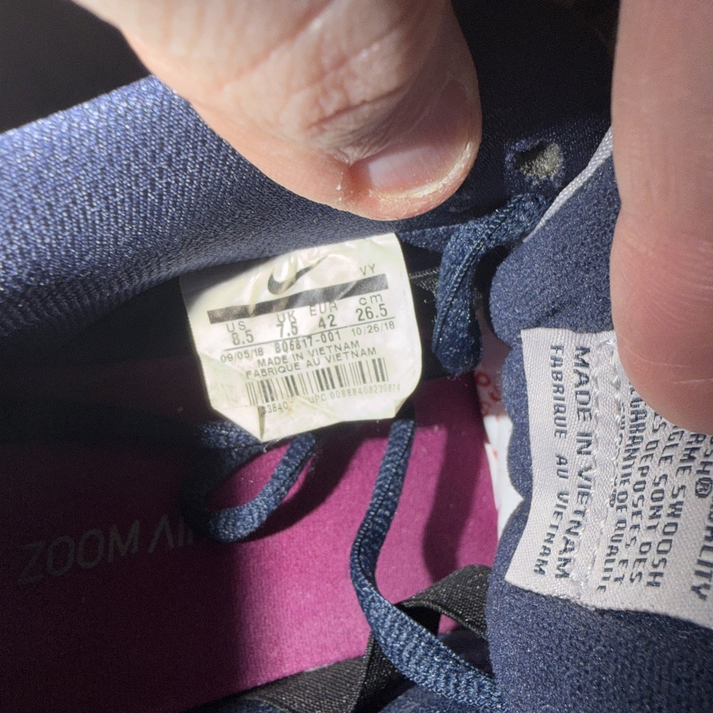 Size 8.5 - Nike Dunk SB Low True Berry