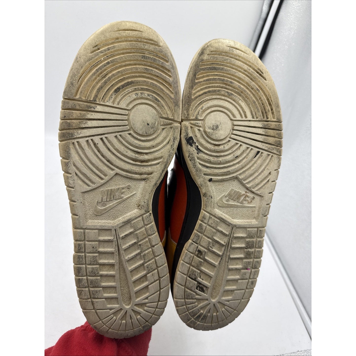 Size 11 - Nike Dunk Pro SB Low Raygun