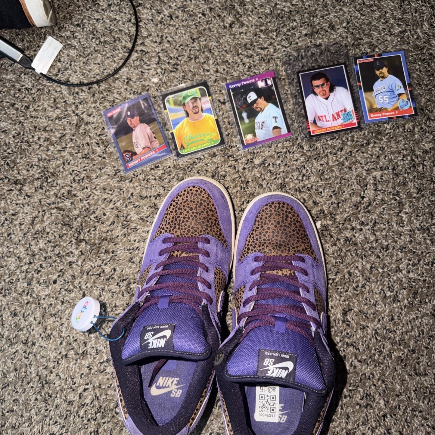 Size 9.5 - Nike Dunk Premium SB Low Kenny Powers