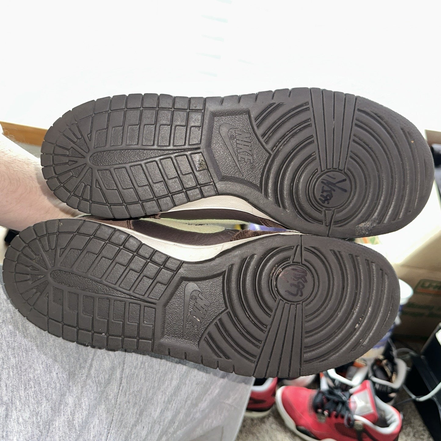 Nike Dunk Pro SB Mid Donatello Size 12