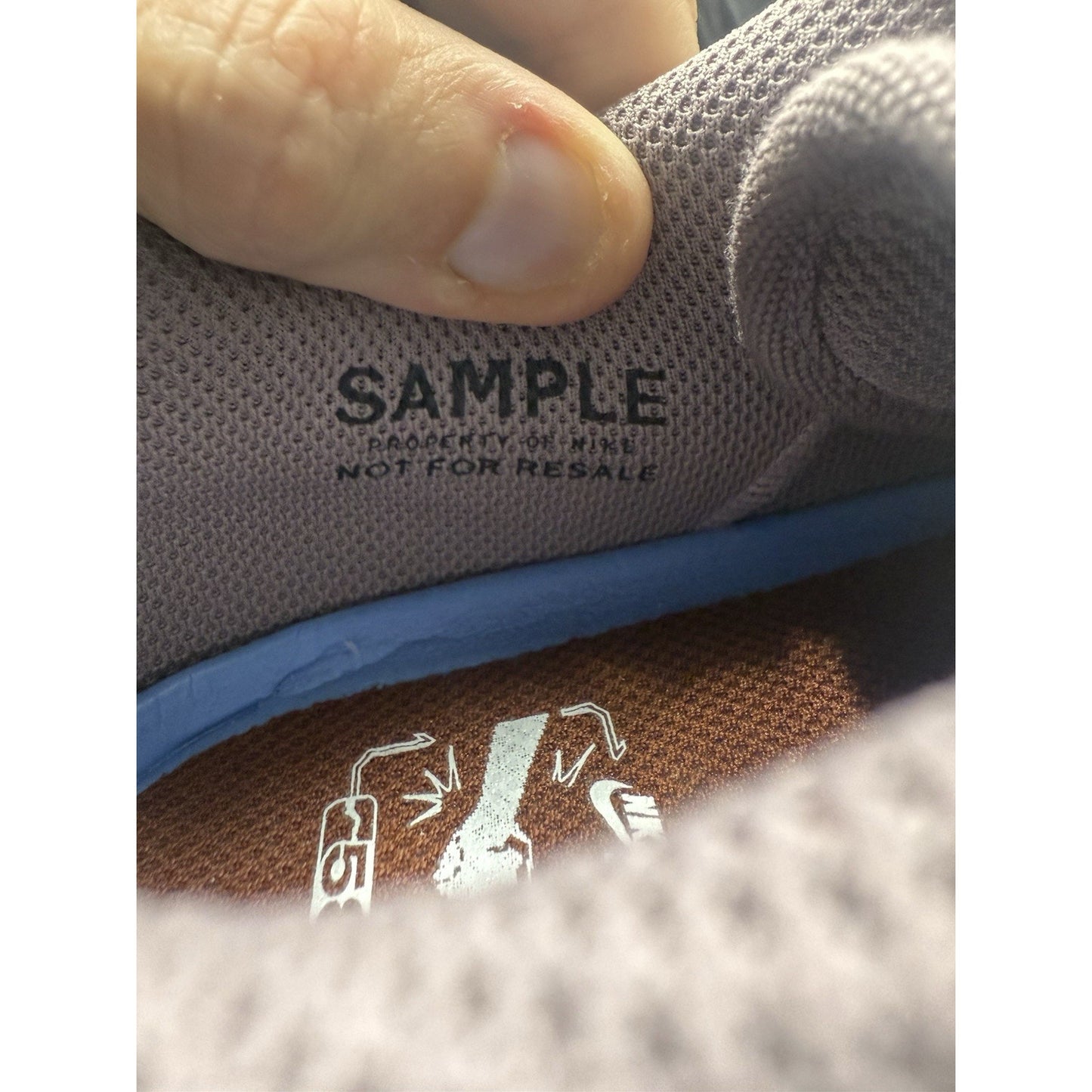 Size 9 Nike SB Malor Te Friends And Family Sample