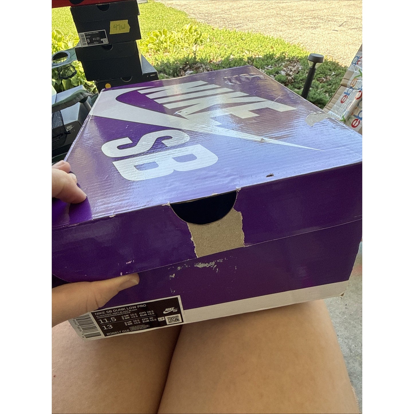 Size 11.5 - Nike SB Dunk Low Pro Fog