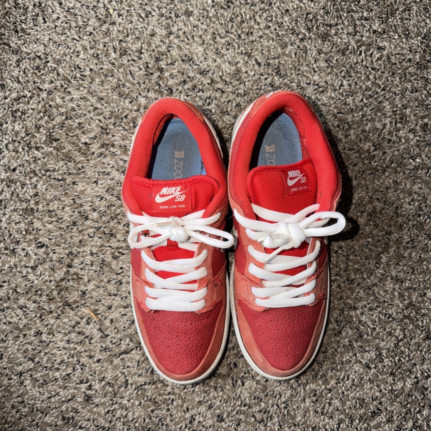 Size 9 - Nike Dunk Pro SB Low Challenge Red