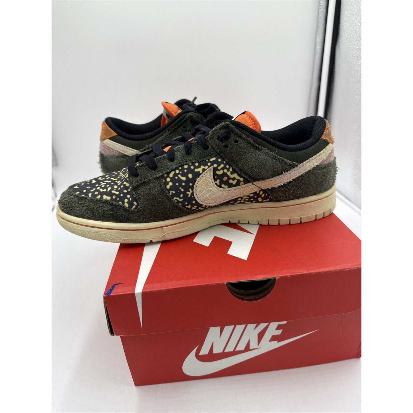 3017) Nike Dunk Low Gone Fishing Rainbow Trout FN7523-300 Men's Size 9.5