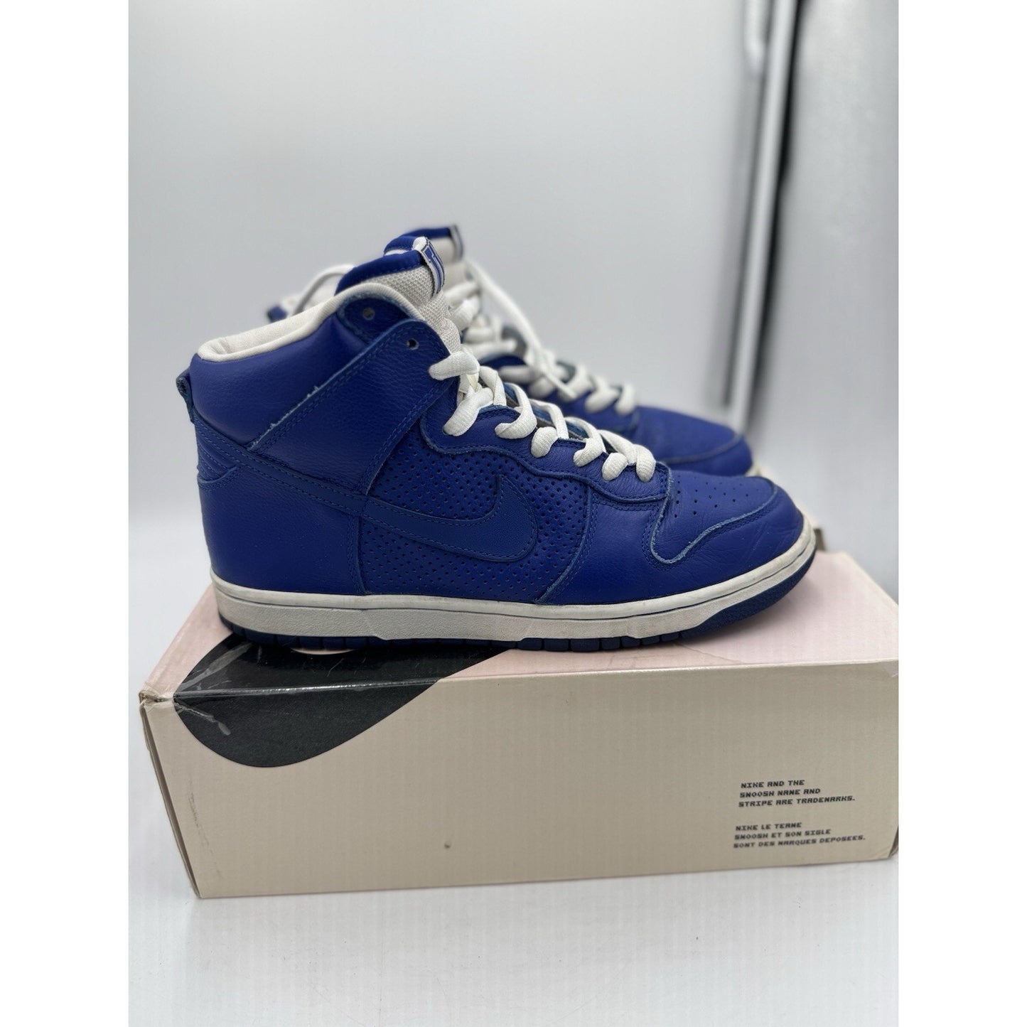 Size 10 - Nike Dunk Pro SB High T-19