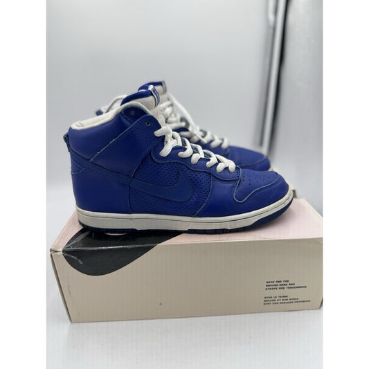 Size 10 - Nike Dunk Pro SB High T-19