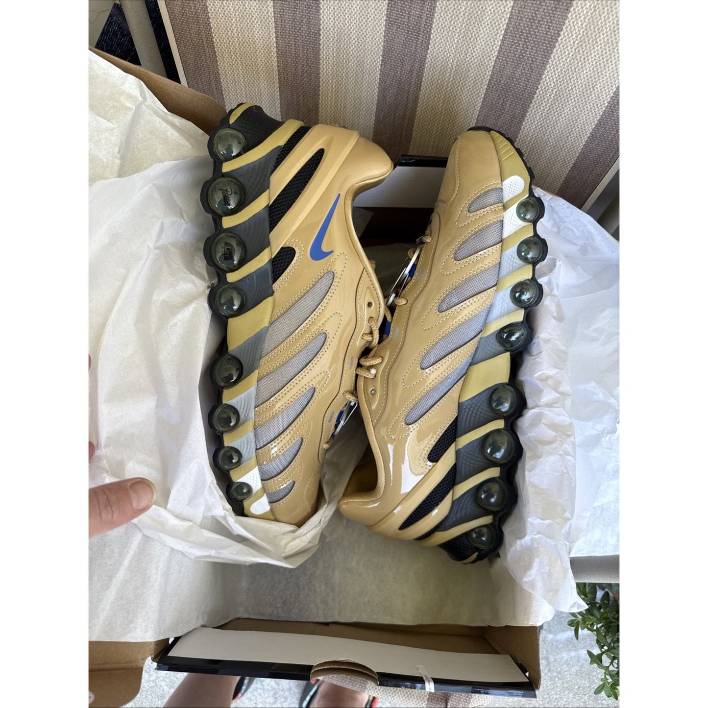 Size 12.5 - Patta x Nike Air Max DN8 Club Gold