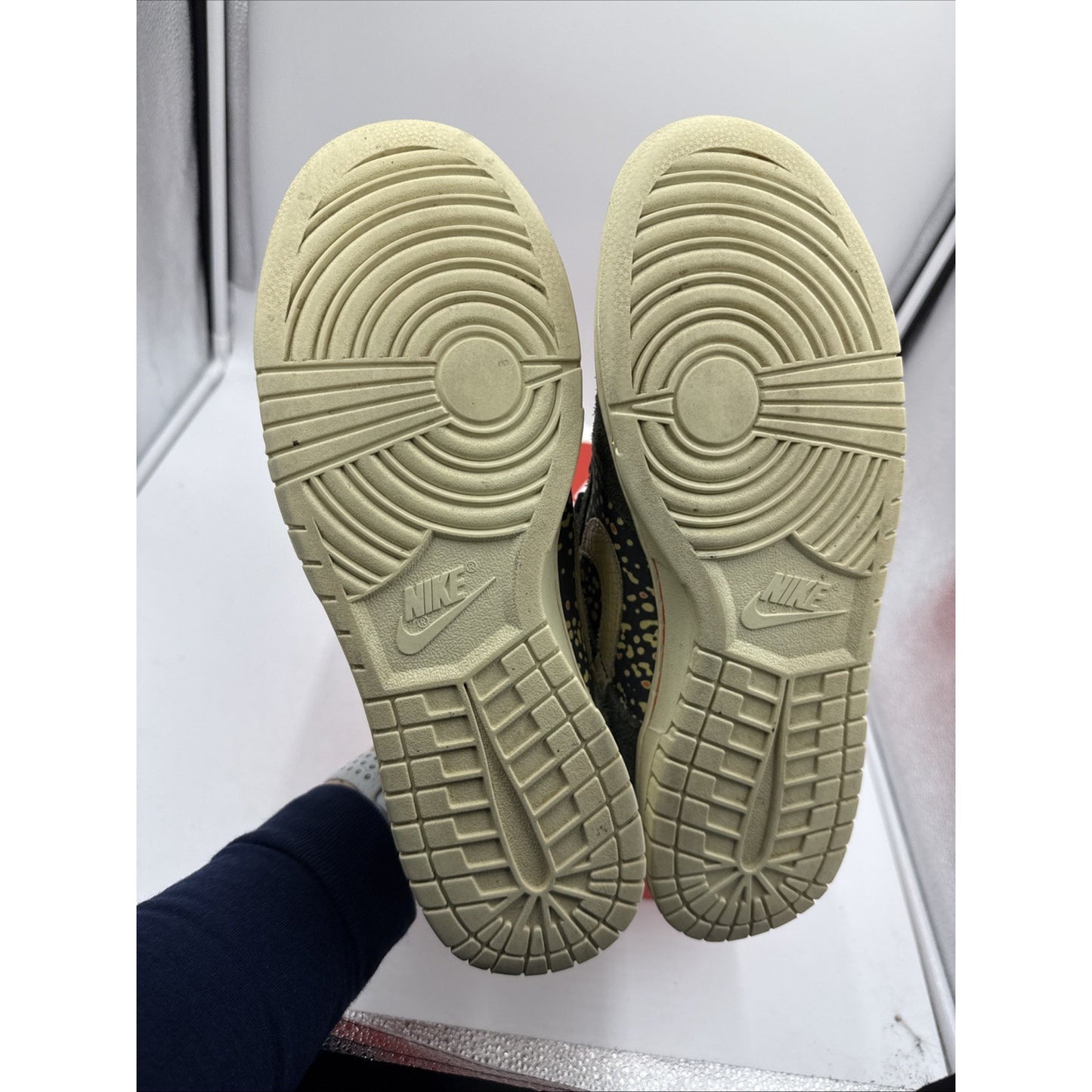 3017) Nike Dunk Low Gone Fishing Rainbow Trout FN7523-300 Men's Size 9.5