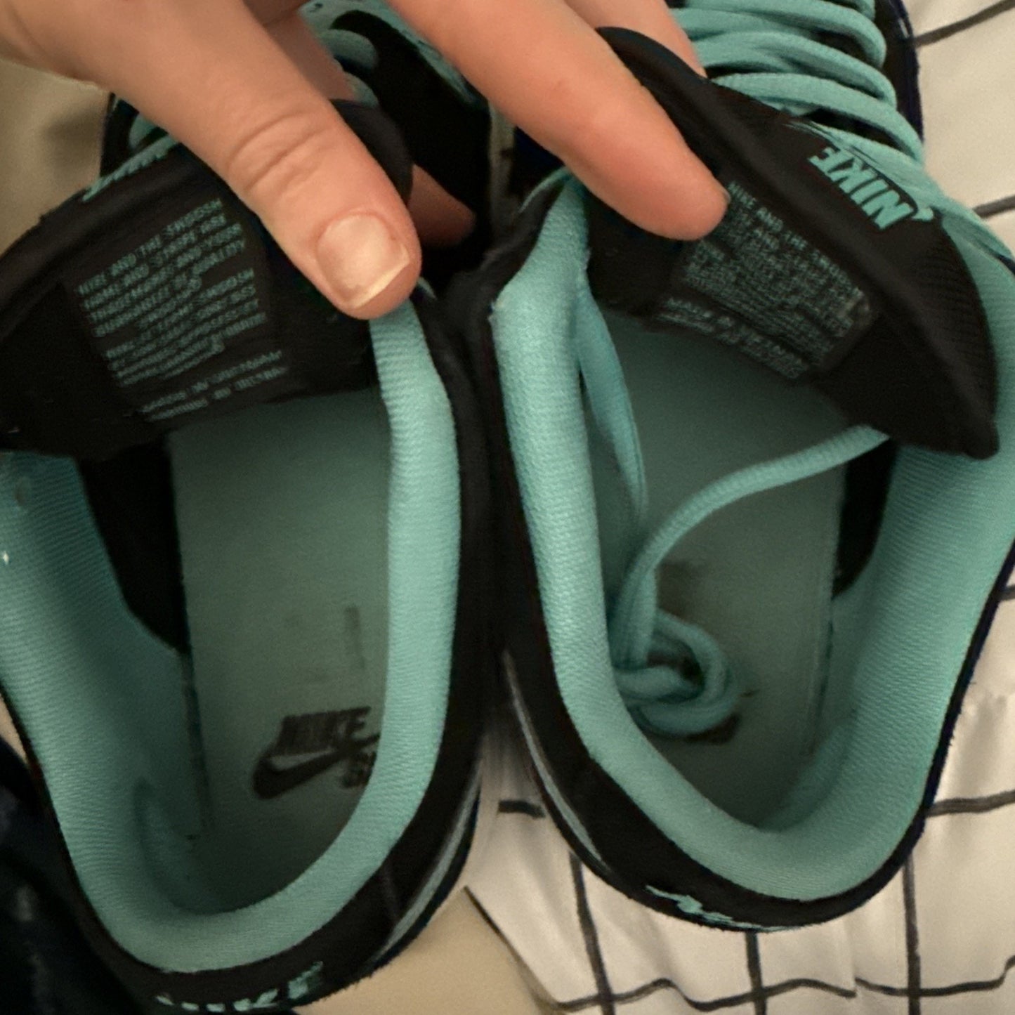 Size 10 - Nike Dunk Pro SB Low Clear Jade
