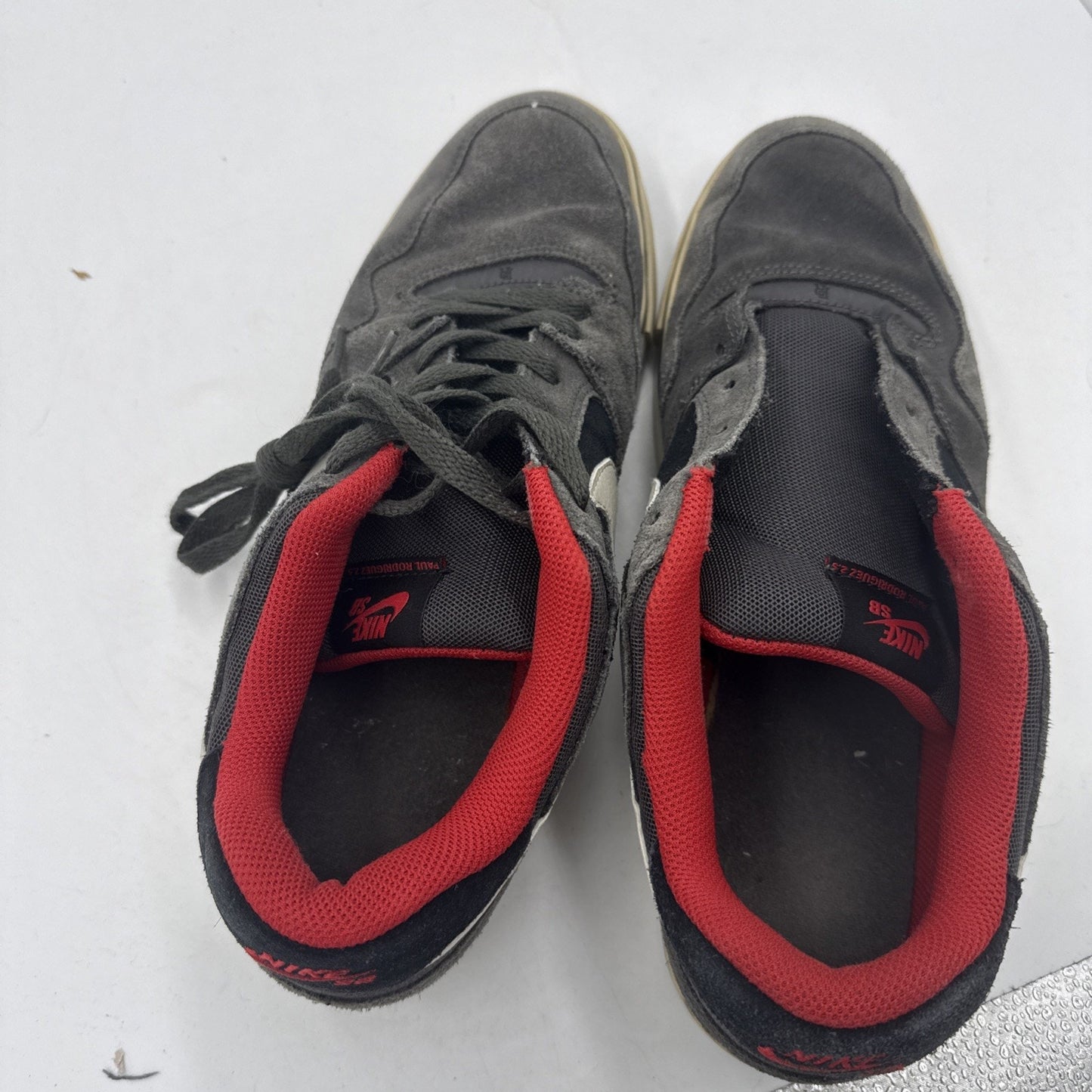 Size 12 - Nike Zoom Paul Rodriguez 2.5 SB