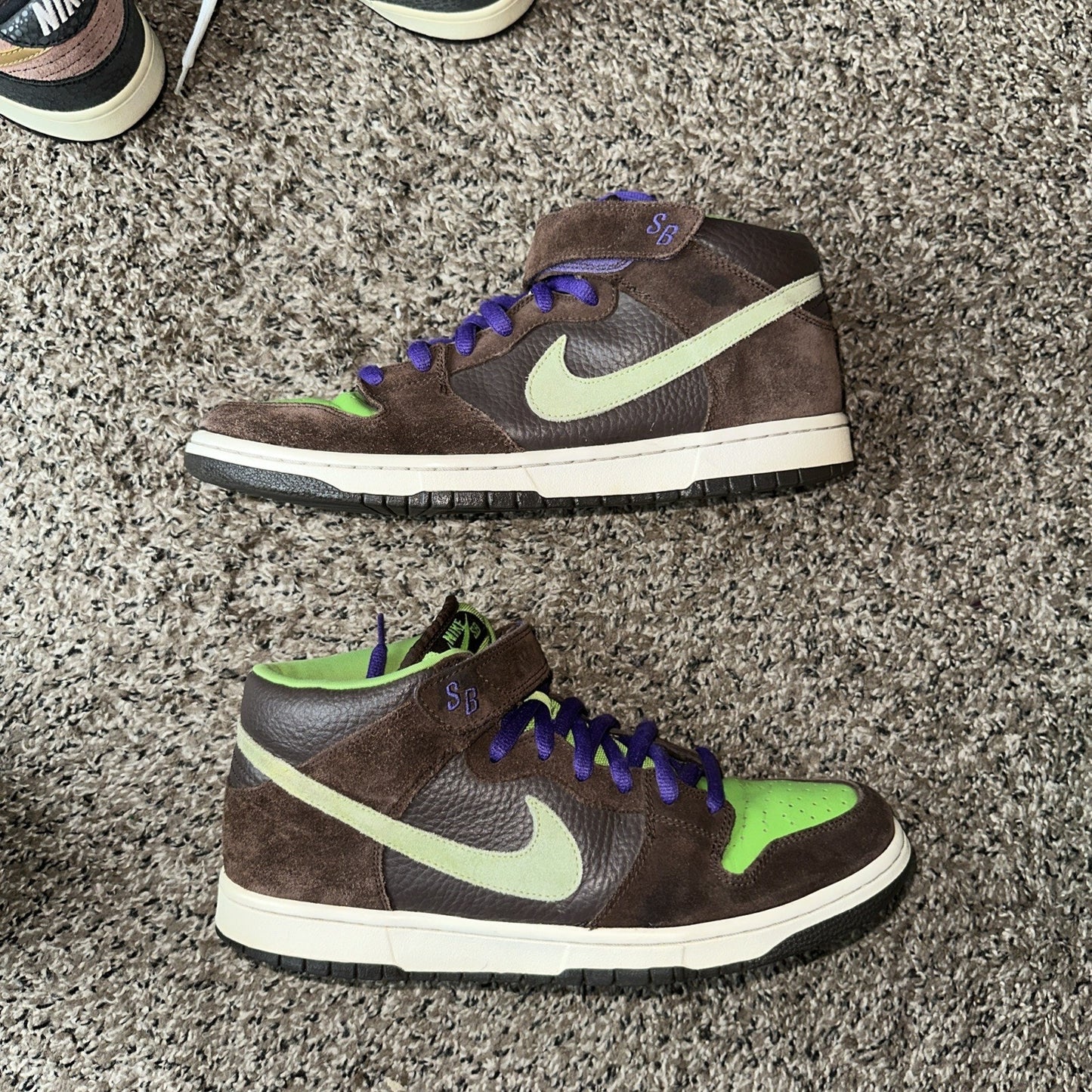Nike Dunk Pro SB Mid Donatello Size 12