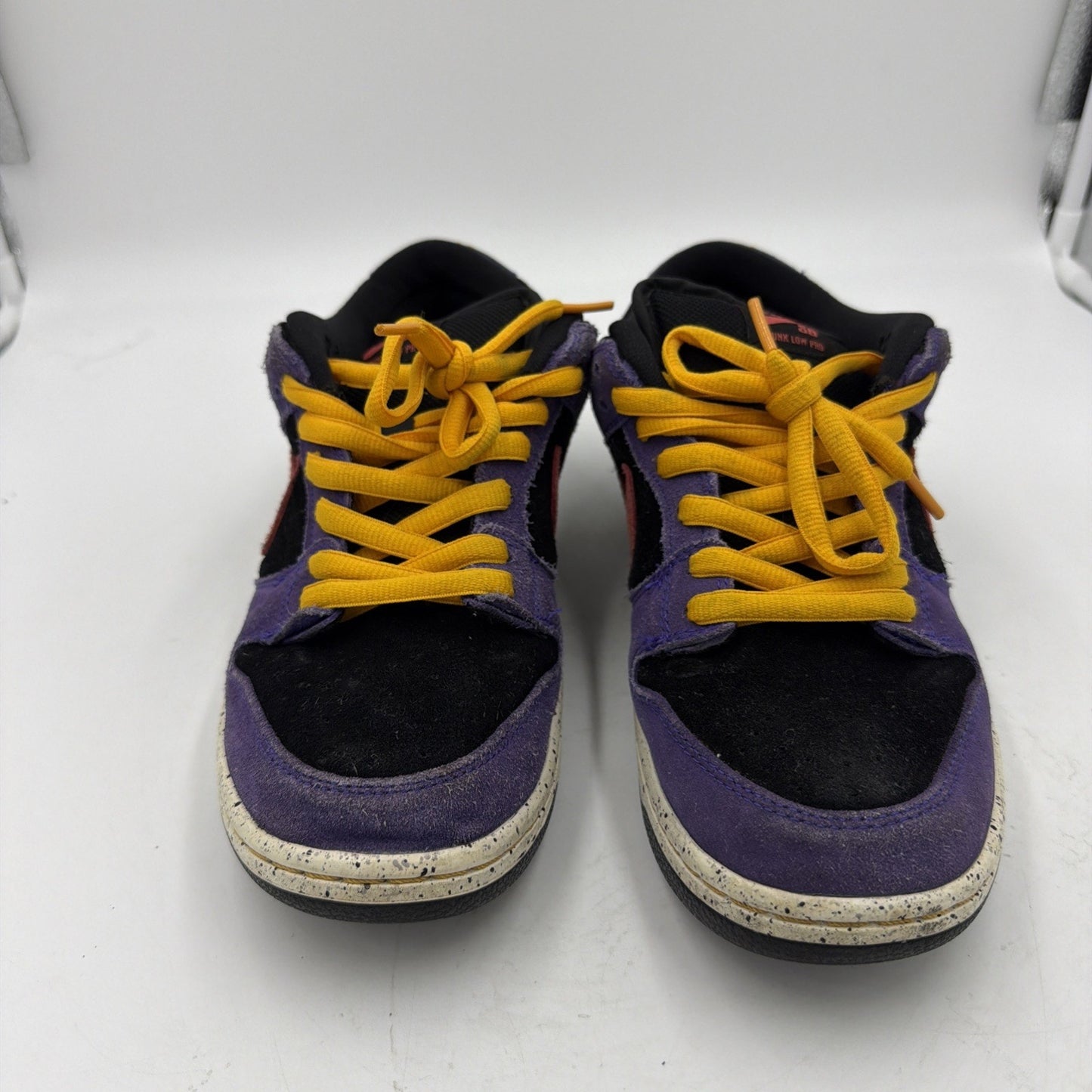 Size 9.5 - Nike Dunk Pro SB Low ACG Terra