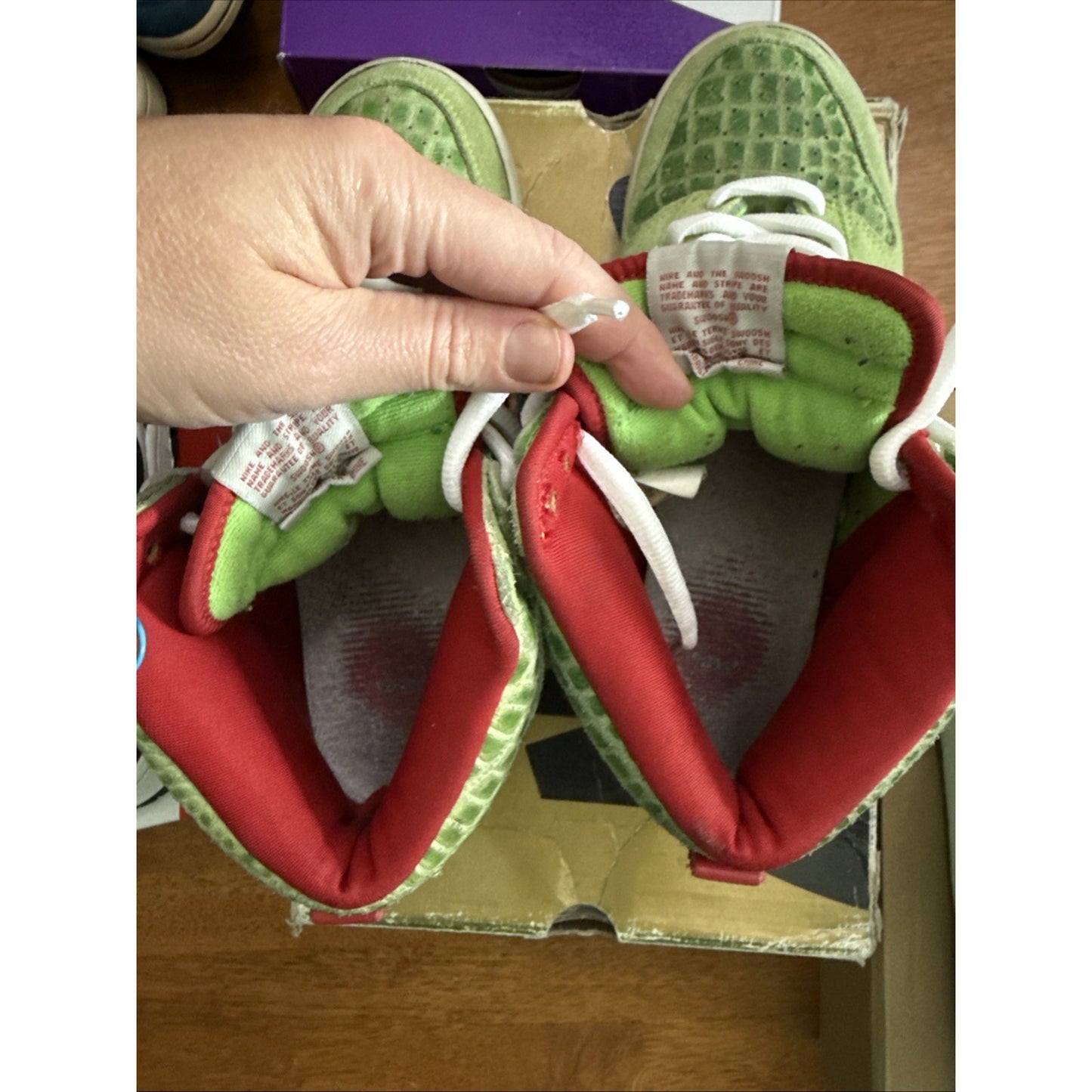 Size 9 - Nike Dunk Pro SB High Dr. Feelgood