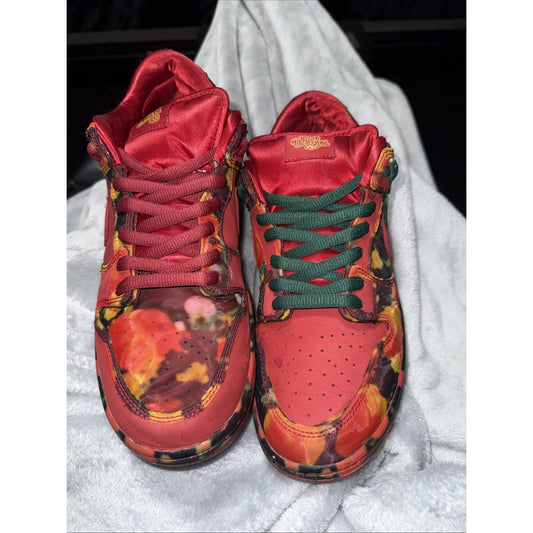 Nike SB Dunk Wizard of oz 'Poppy Field' Sneakers Size 11.5 LEP