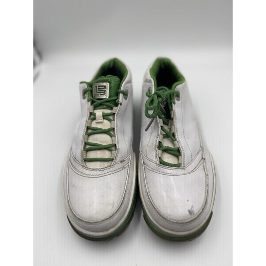 Size 11 - Nike Zoom LeBron ST Low Grass NBS322