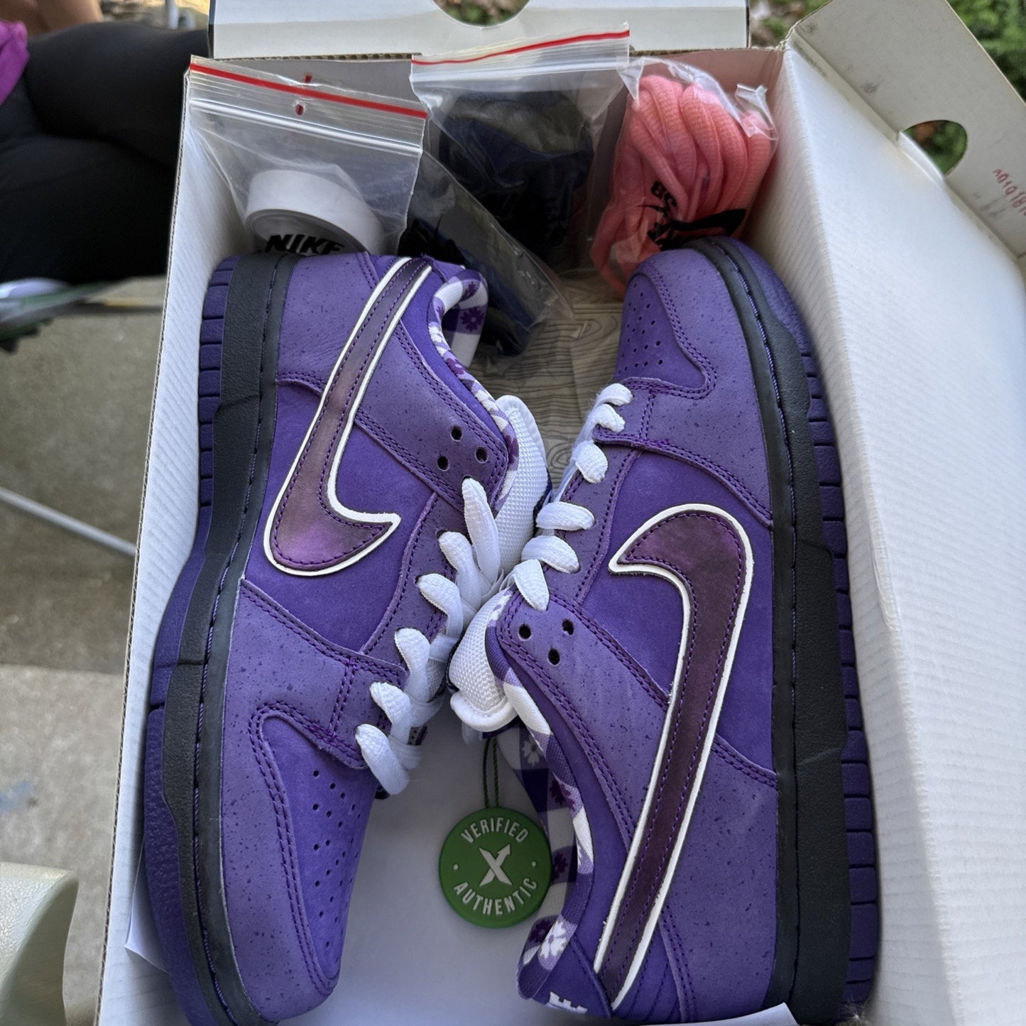 NEW 2018 Nike Dunk Low SB Sz 6.5 Purple Lobster x Concepts BV1310-555 AUTHENTIC