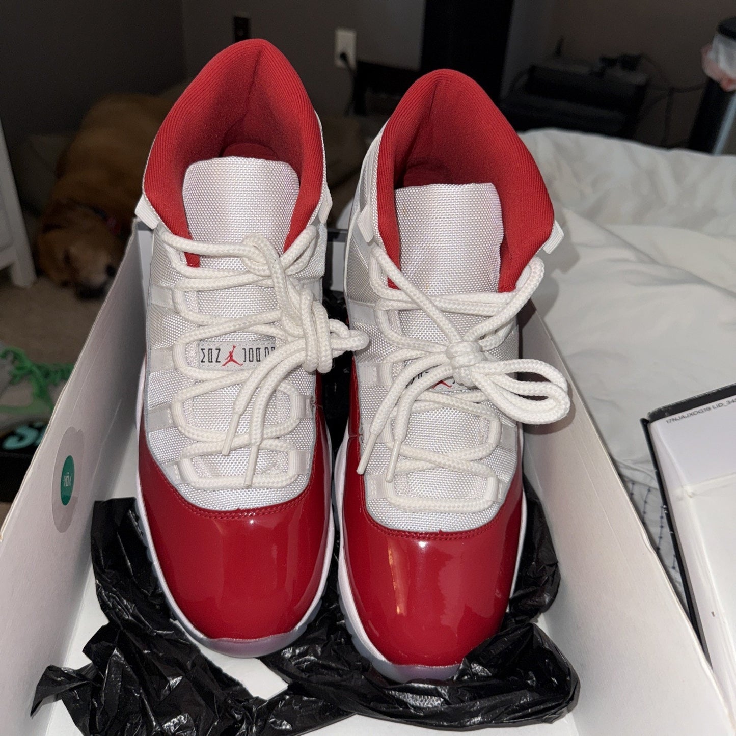 Size 10.5 - Jordan 11 Retro High Cherry