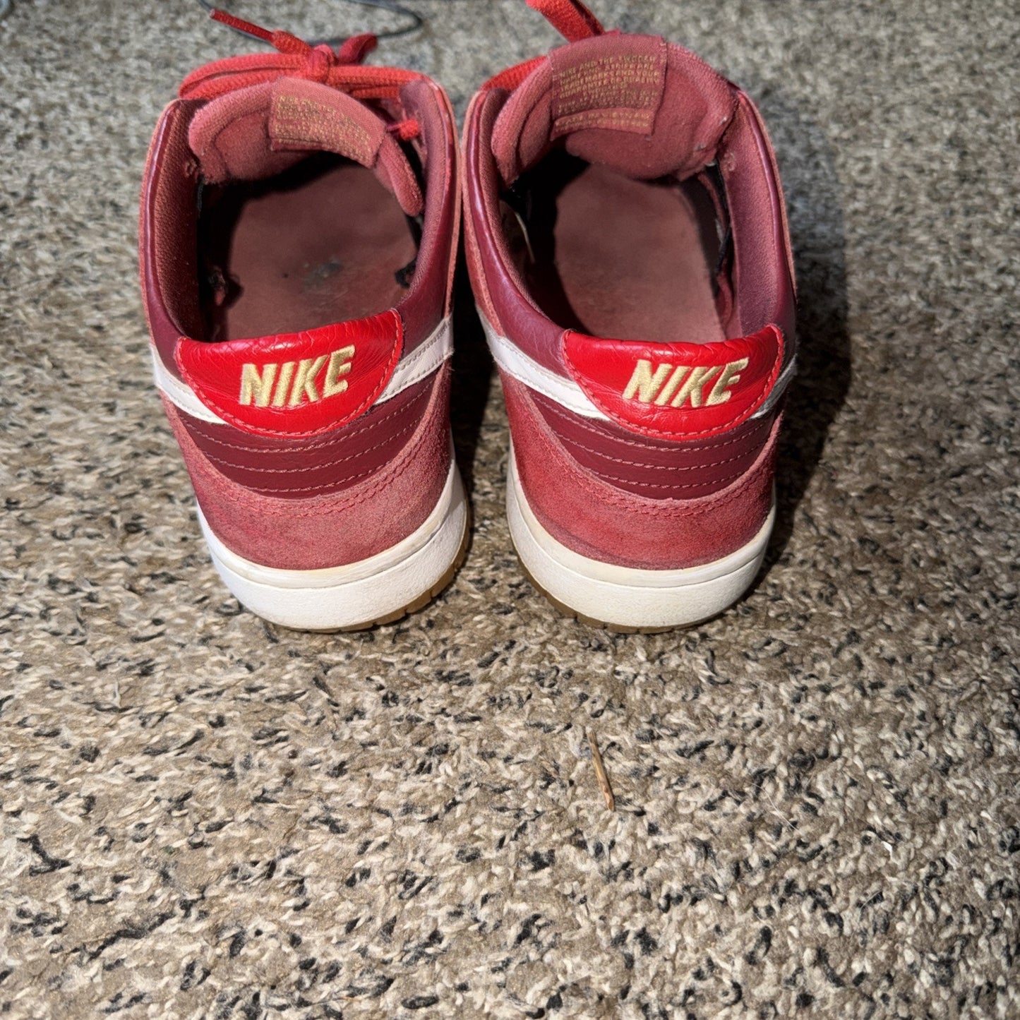 Size 9.5 - Nike Zoom Dunk Pro SB Low Track Red
