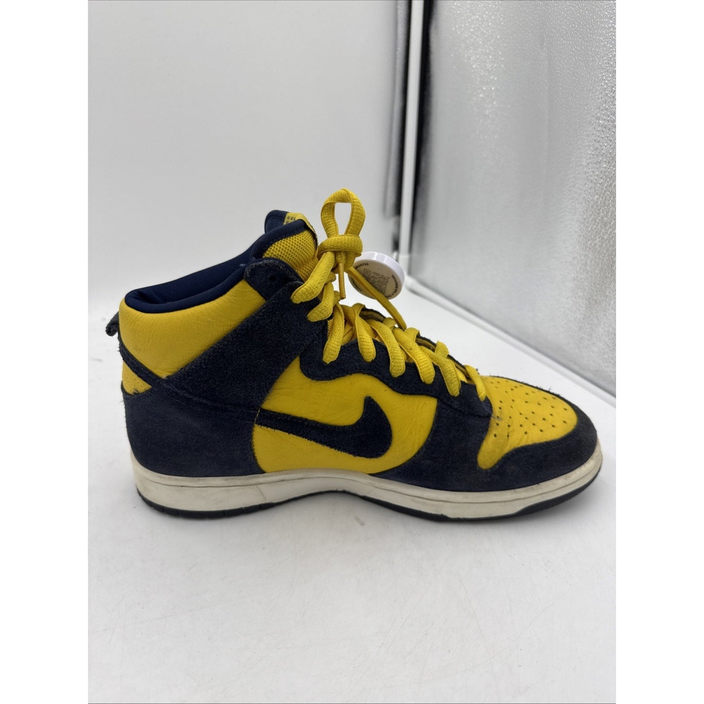 Size 9.5 - Nike Dunk Pro SB High Michigan