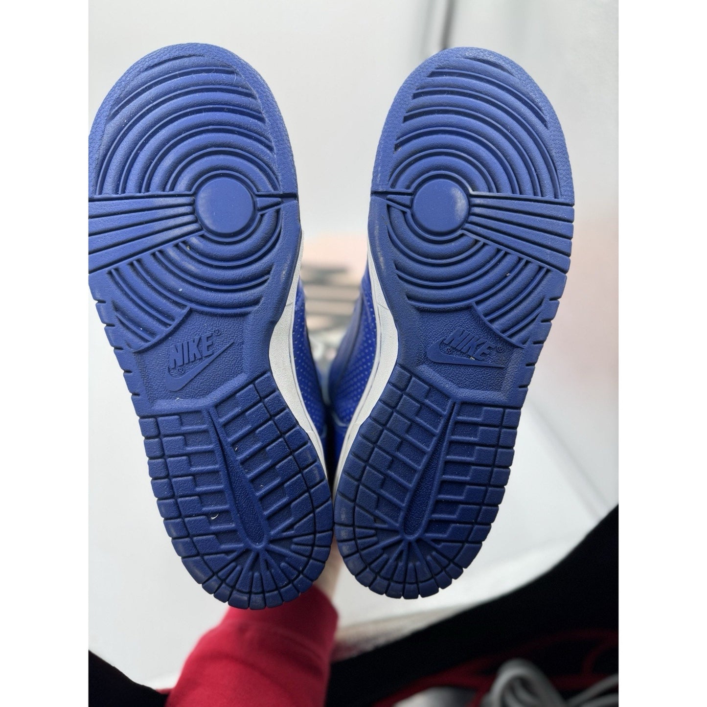 Size 10 - Nike Dunk Pro SB High T-19