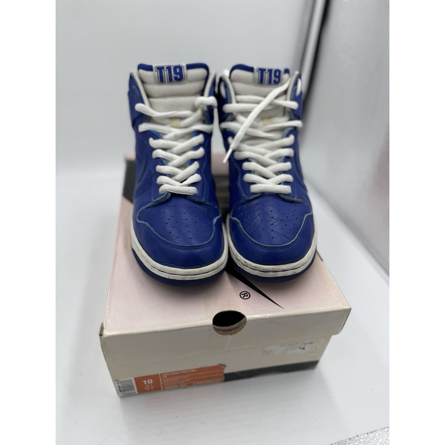 Size 10 - Nike Dunk Pro SB High T-19