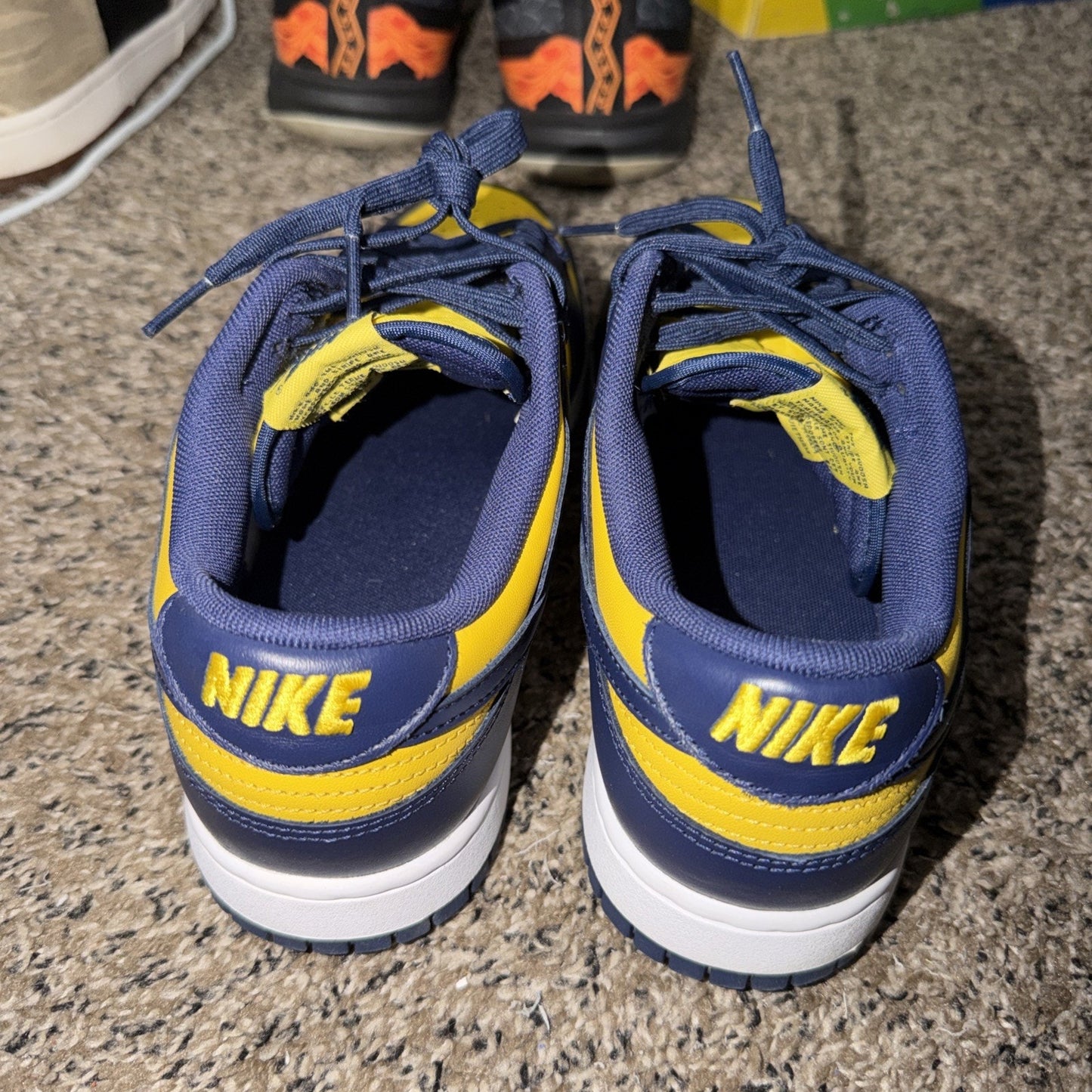 Size 10 - Nike Dunk Low Michigan 2021