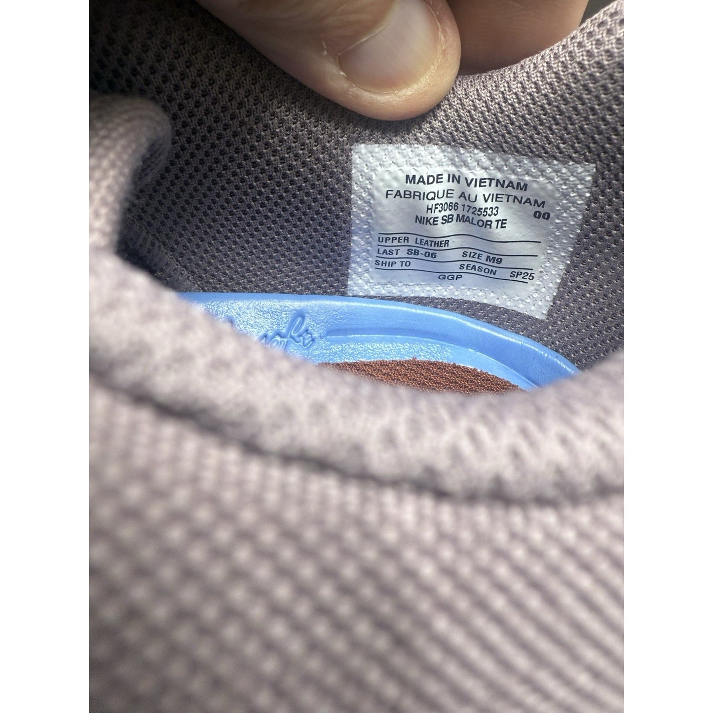 Size 9 Nike SB Malor Te Friends And Family Sample