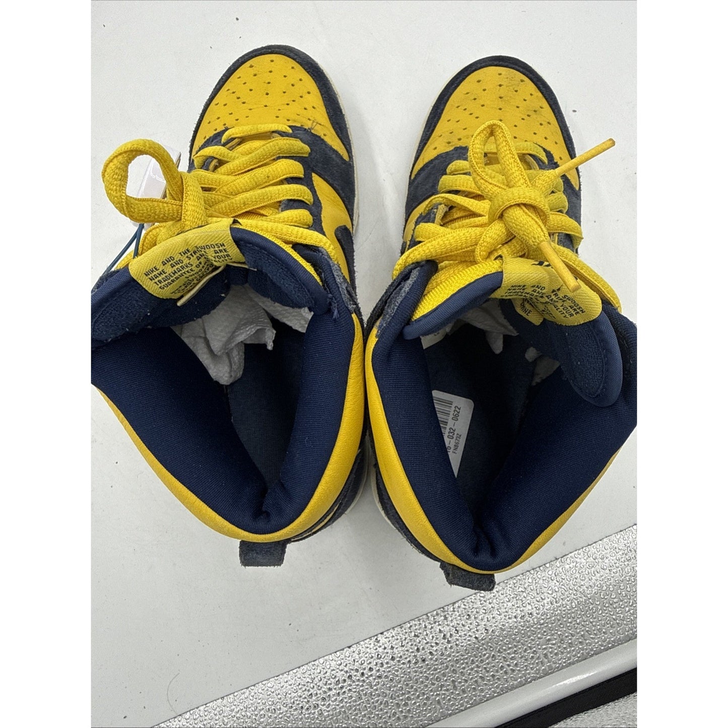 Size 9.5 - Nike Dunk Pro SB High Michigan