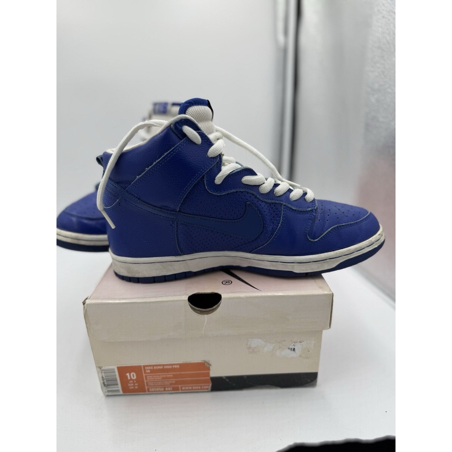 Size 10 - Nike Dunk Pro SB High T-19