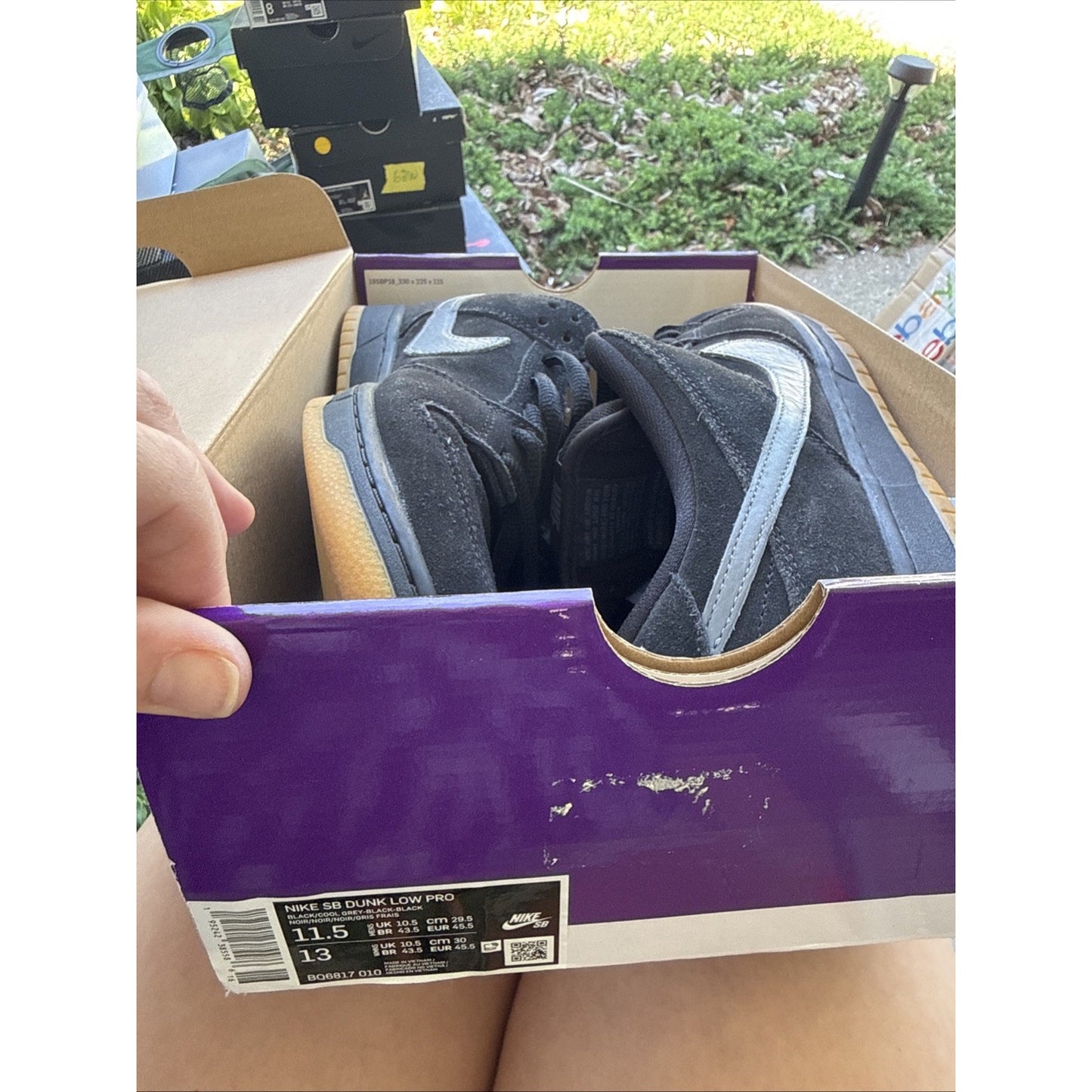 Size 11.5 - Nike SB Dunk Low Pro Fog