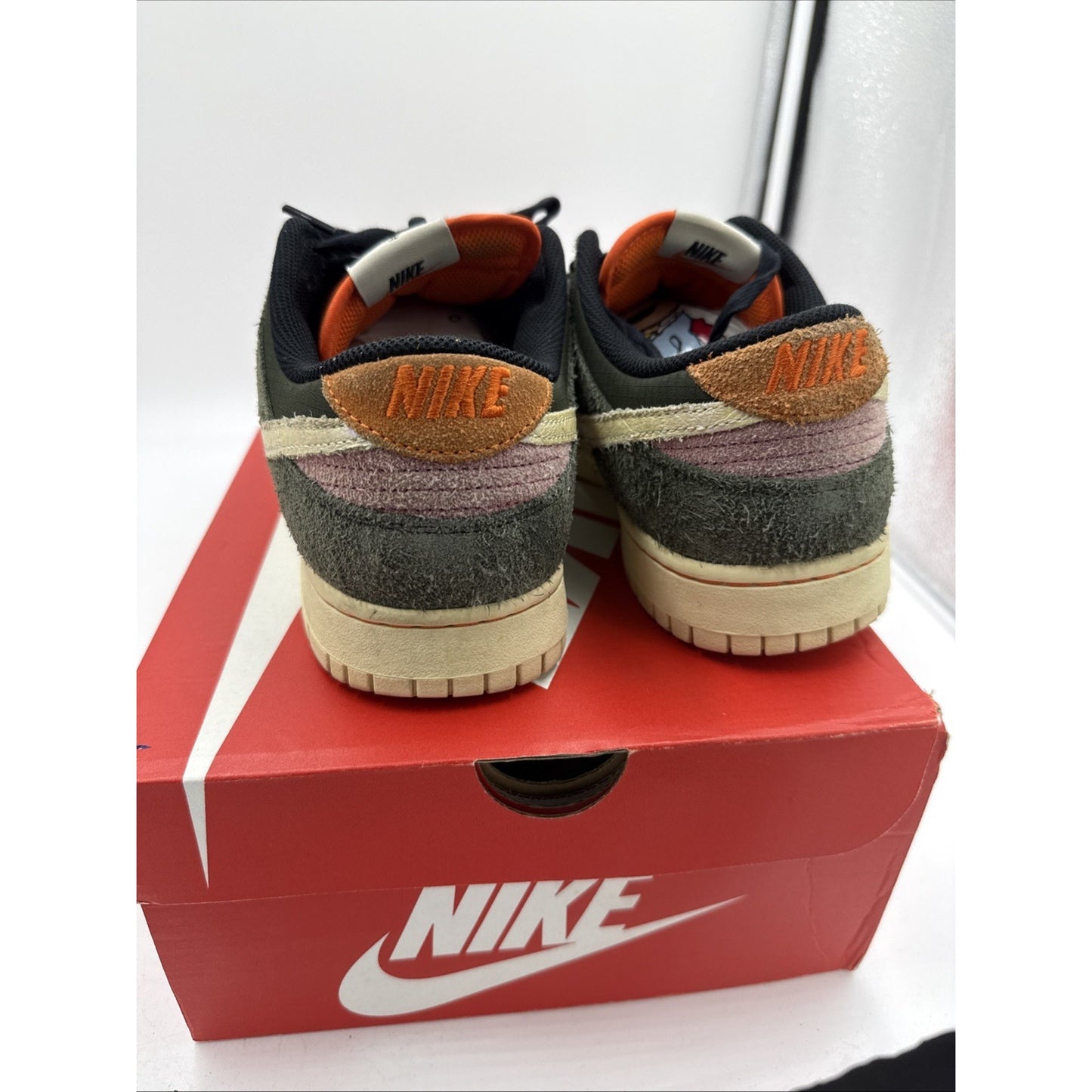 3017) Nike Dunk Low Gone Fishing Rainbow Trout FN7523-300 Men's Size 9.5