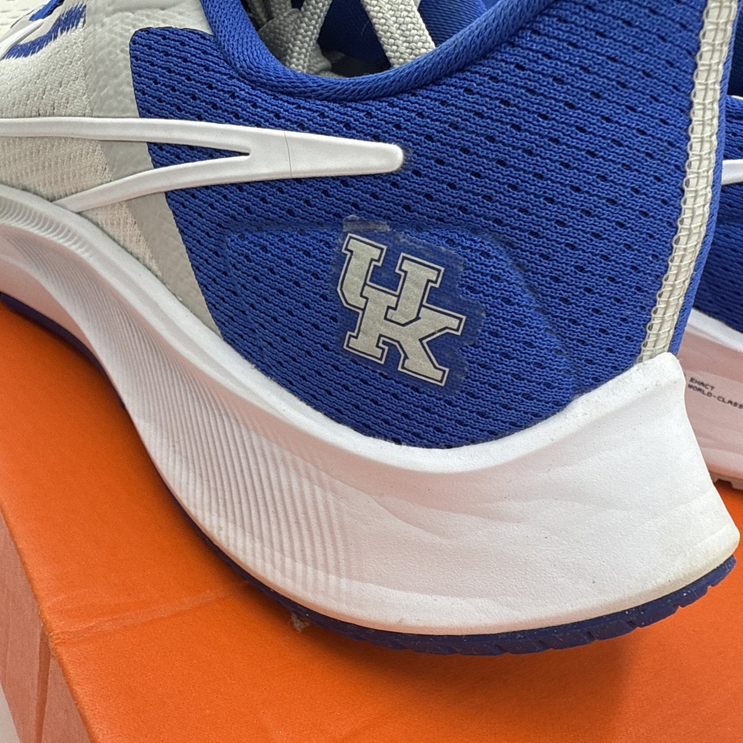 Size 8.5 - Nike Air Zoom Pegasus 38 Kentucky
