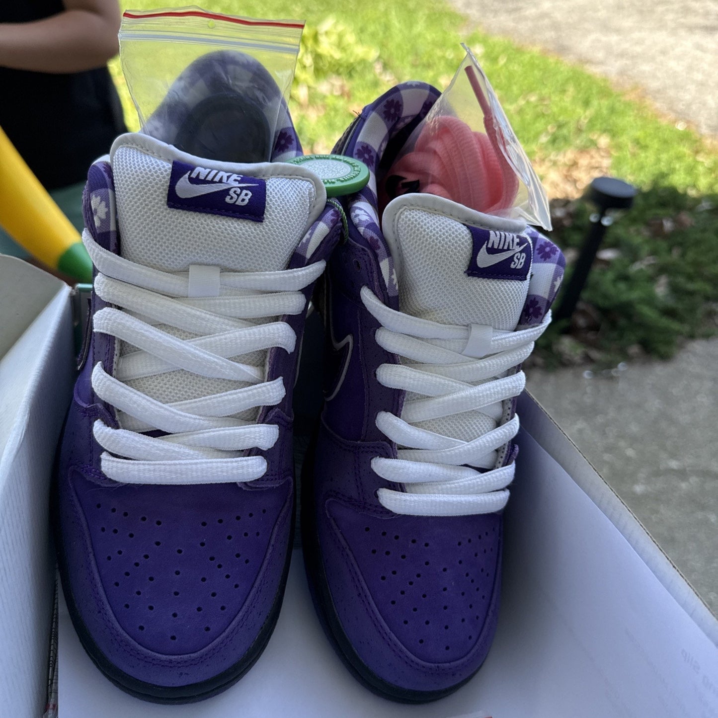 NEW 2018 Nike Dunk Low SB Sz 6.5 Purple Lobster x Concepts BV1310-555 AUTHENTIC