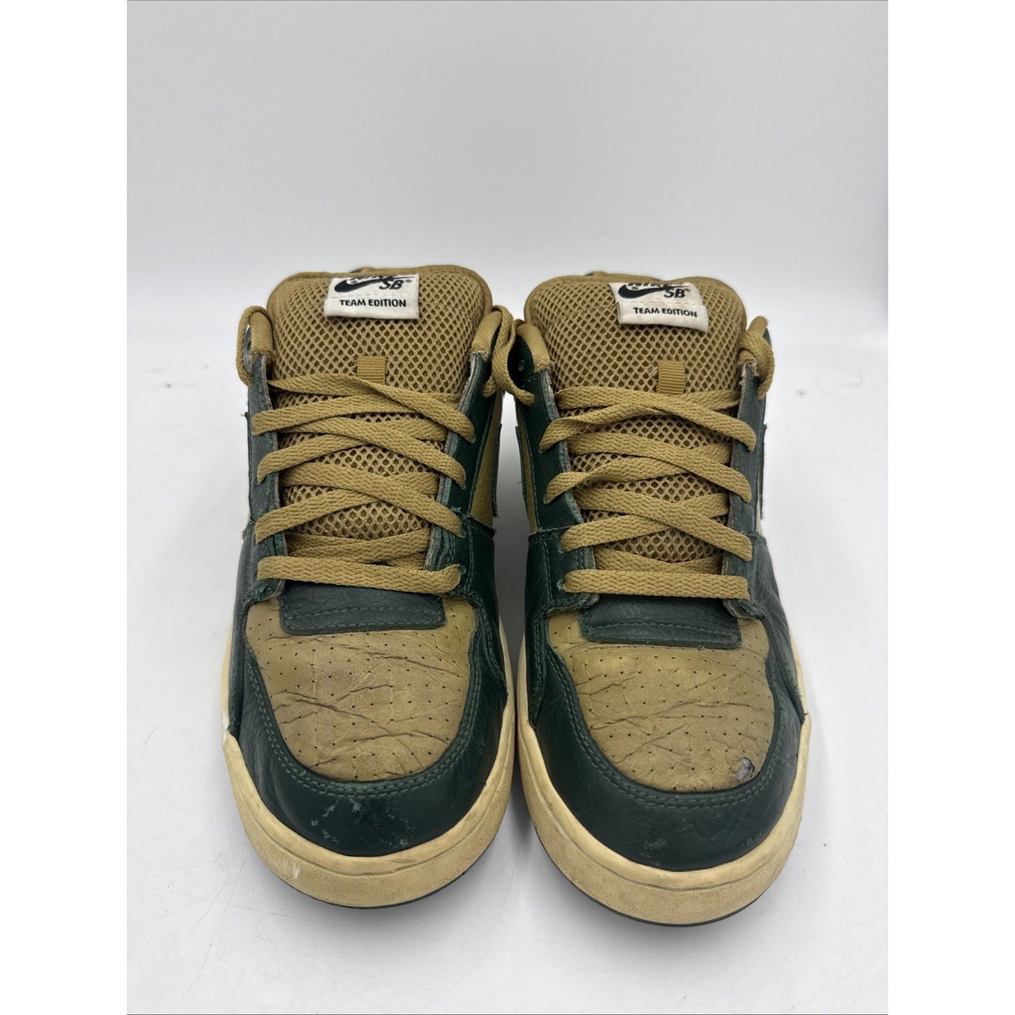 Size 10.5 - Nike Zoom Team Edition Gold