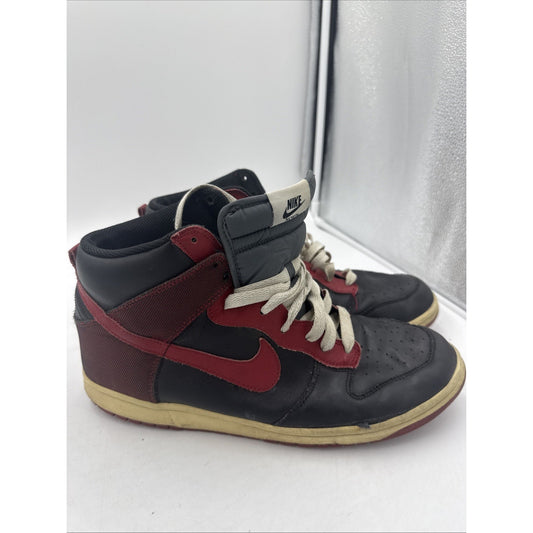 Size 11 North Varsity Nike Dunk Bred