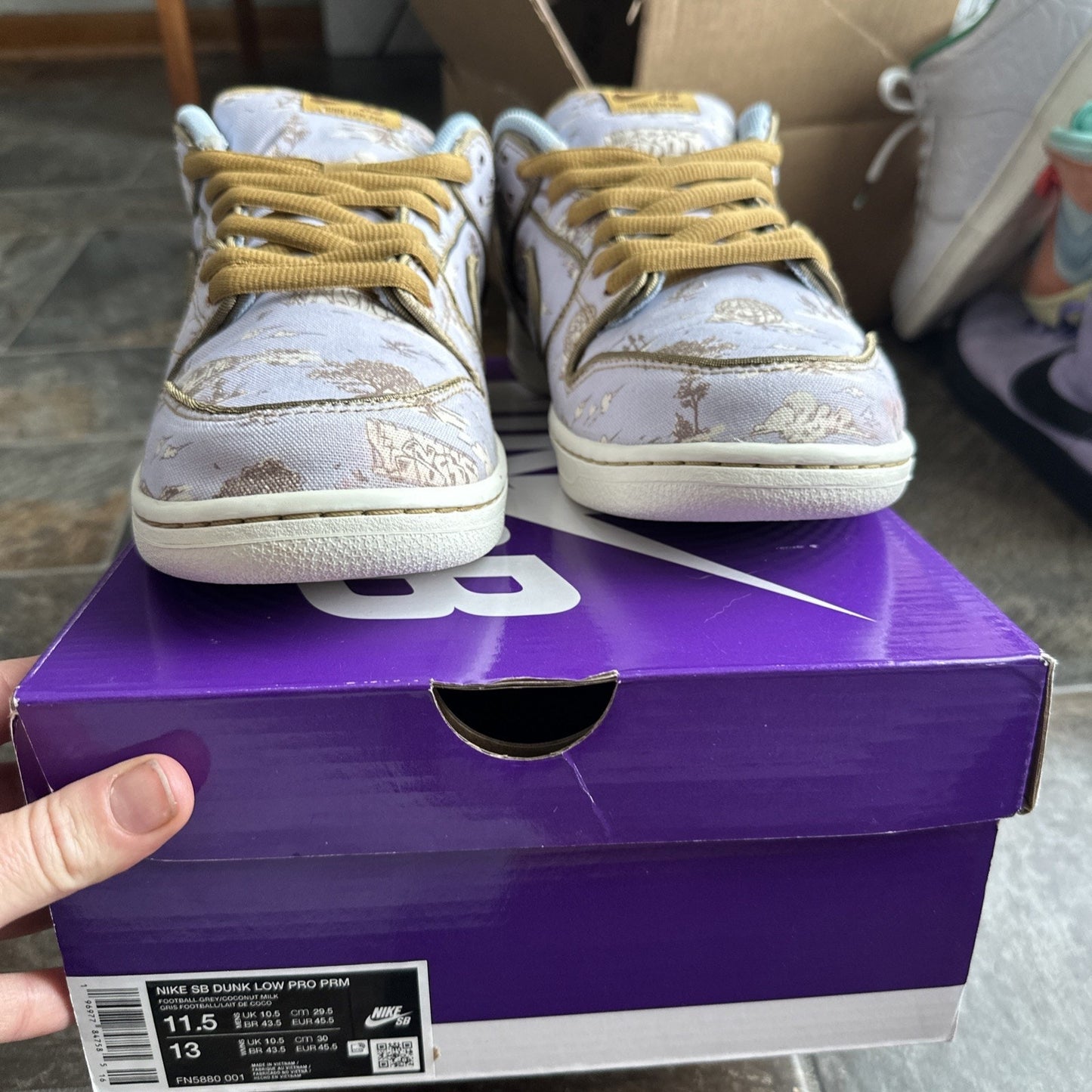 Size 11.5 - Nike Dunk Premium SB Low City of Style Pack