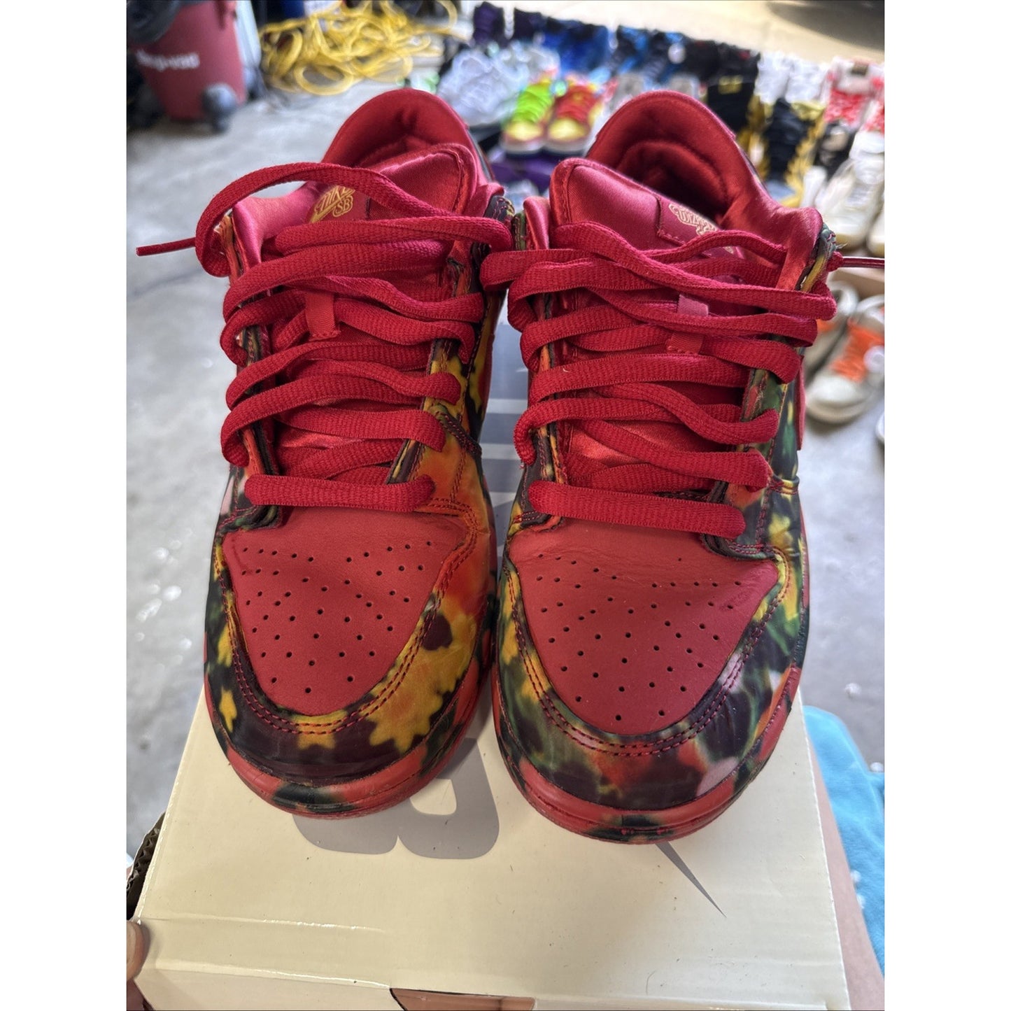 SZ 8 Mens The Wizard of Oz x Nike Dunk SB Low Poppy Field FZ1291-600