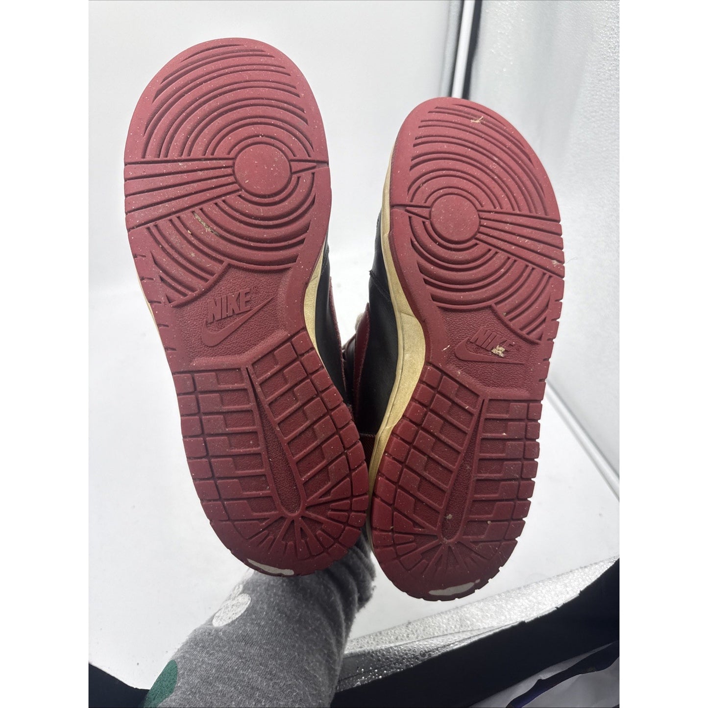 Size 11 North Varsity Nike Dunk Bred