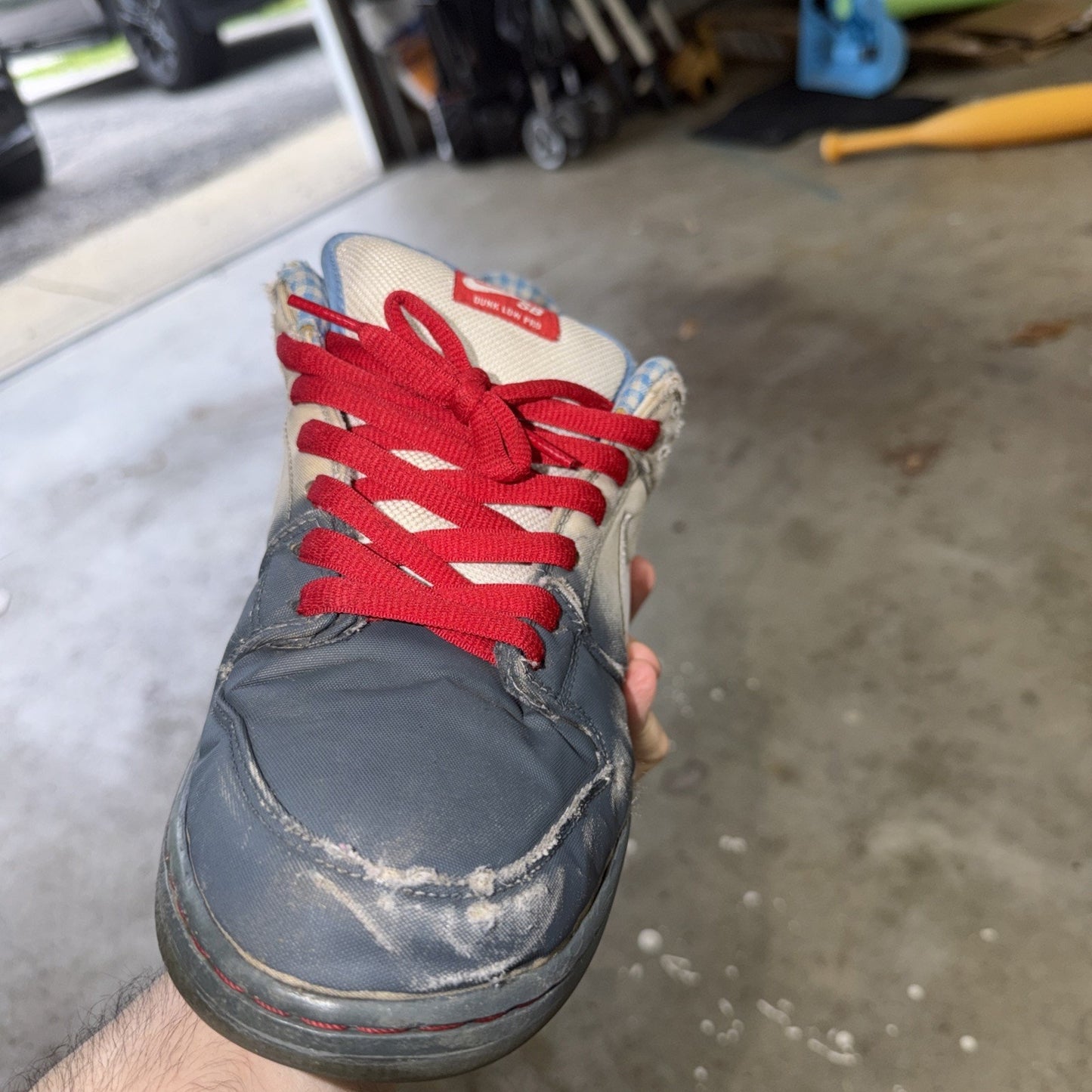 Size 11.5 - Nike Dunk Premium SB Low Dorothy