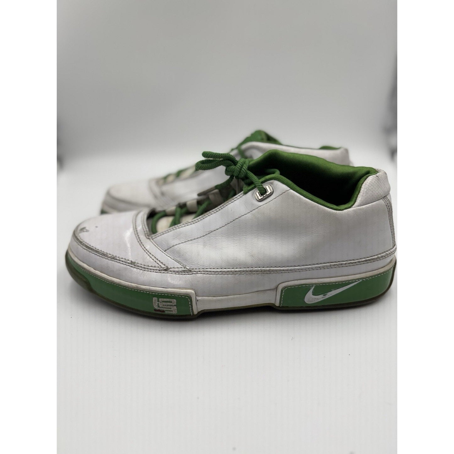 Size 11 - Nike Zoom LeBron ST Low Grass NBS322
