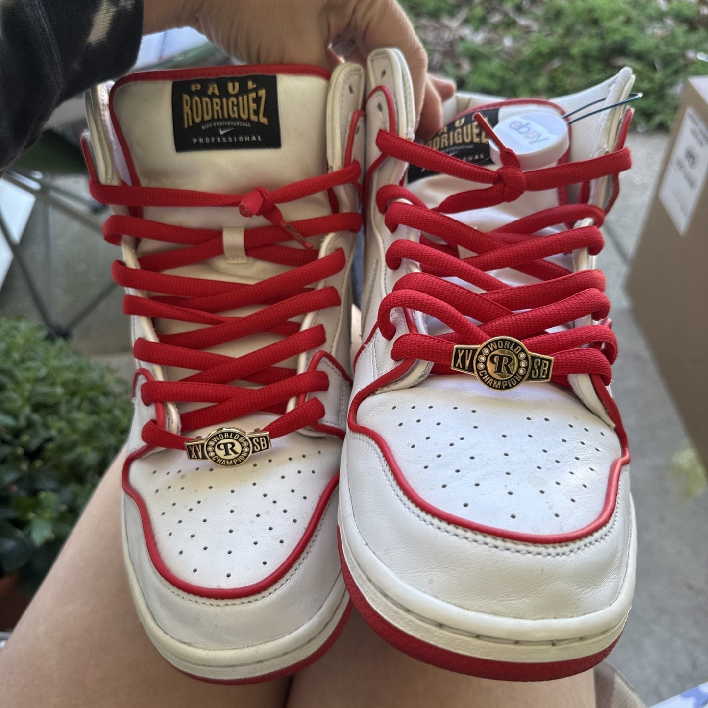 Nike SB Dunk High Paul Rodriguez Boxing Sz 14