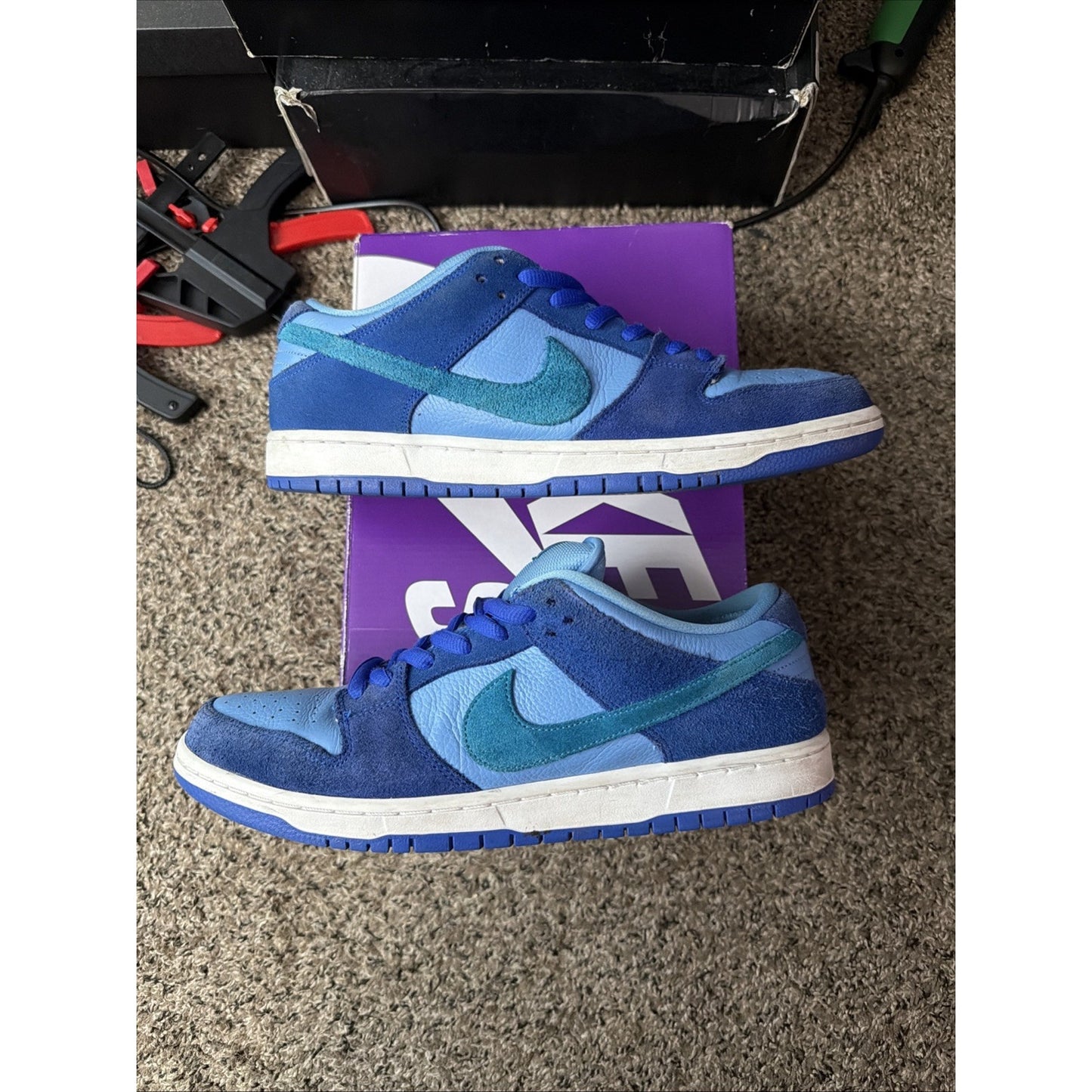 Size 12 - Nike Dunk Low Pro SB Fruity Pack - Blue Raspberry