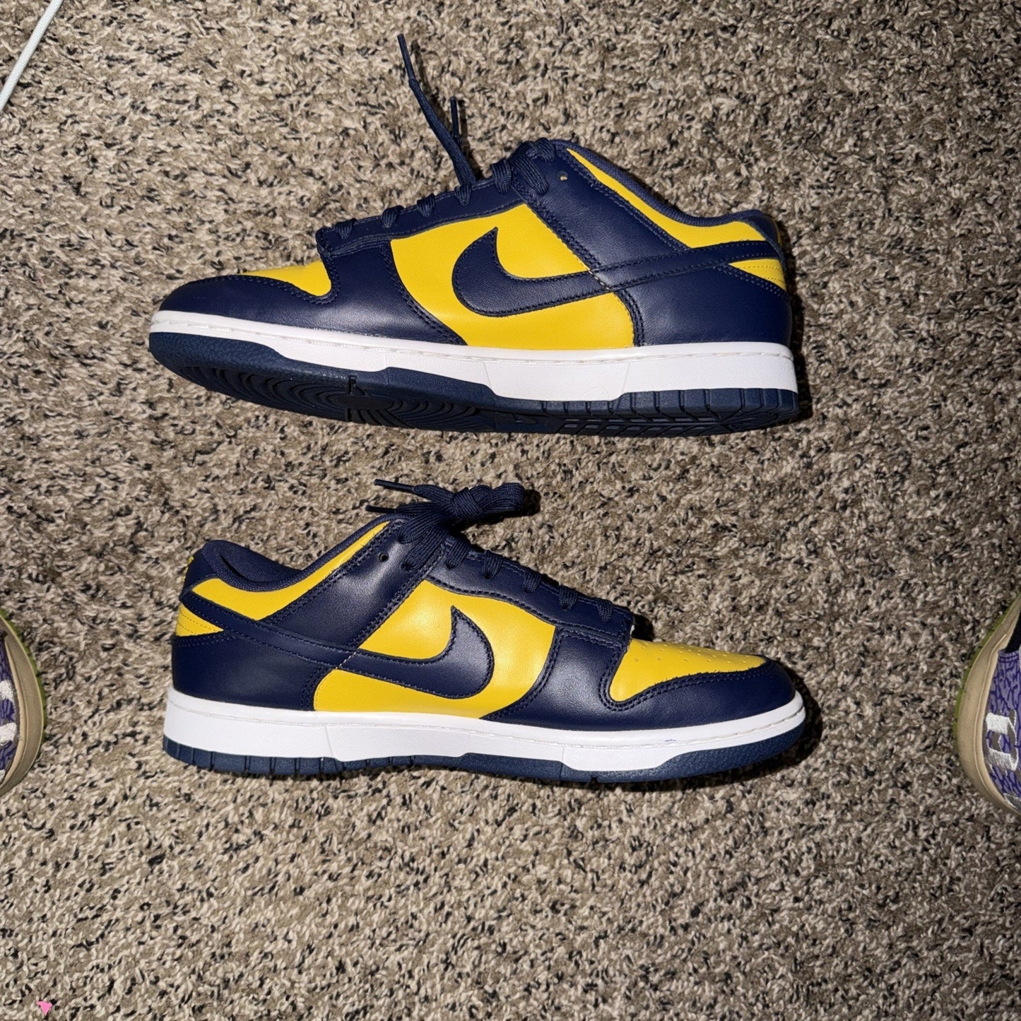 Size 10 - Nike Dunk Low Michigan 2021