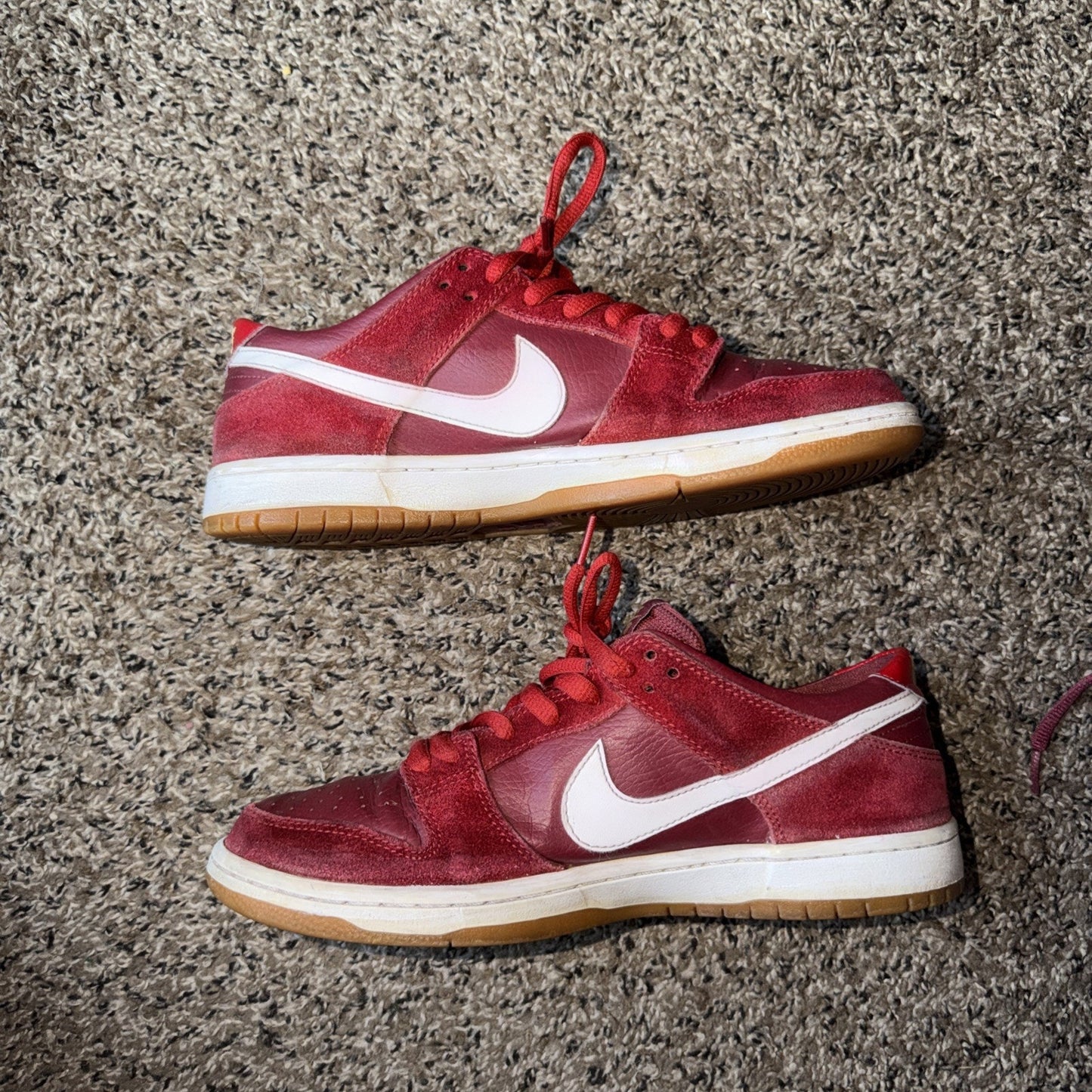 Size 9.5 - Nike Zoom Dunk Pro SB Low Track Red