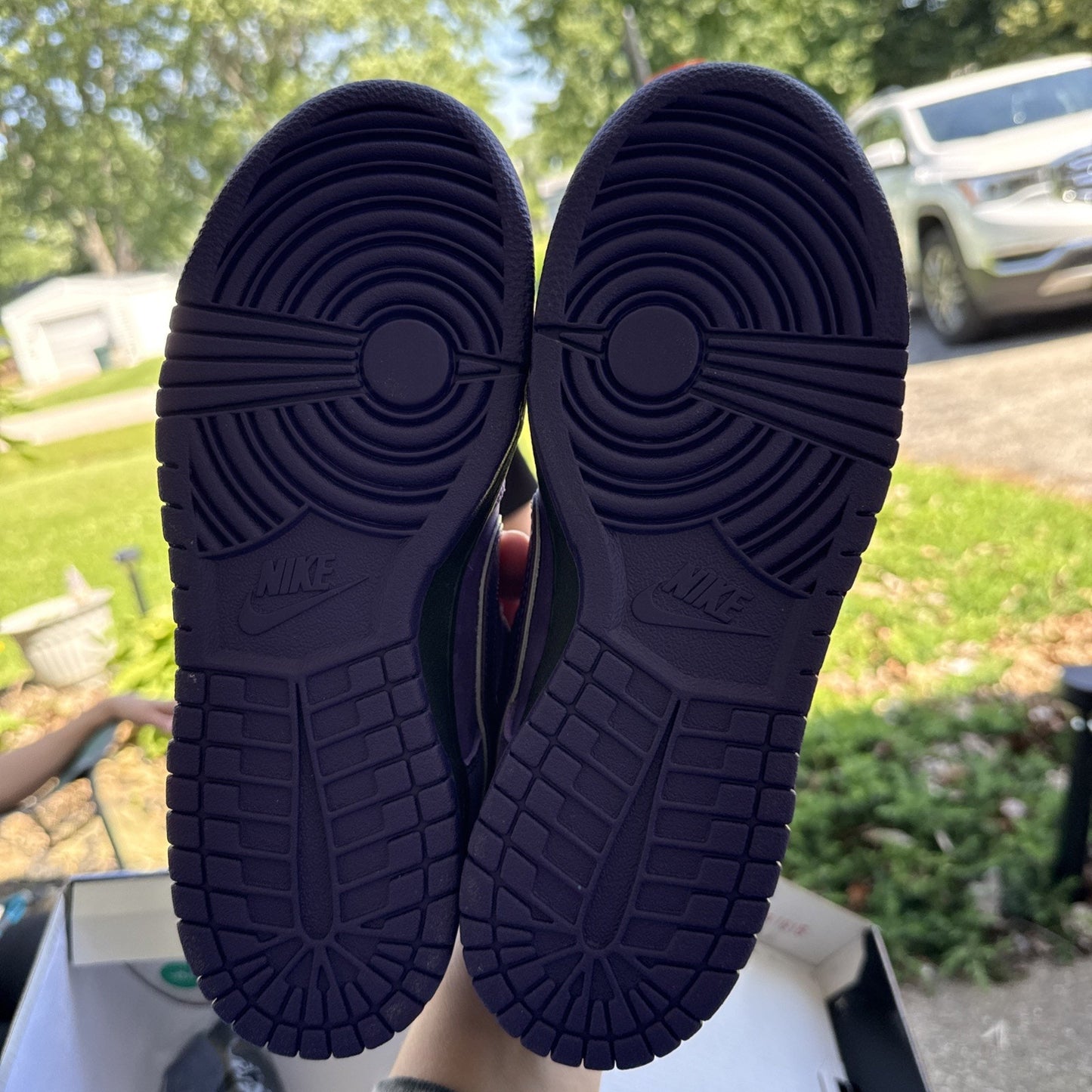NEW 2018 Nike Dunk Low SB Sz 6.5 Purple Lobster x Concepts BV1310-555 AUTHENTIC