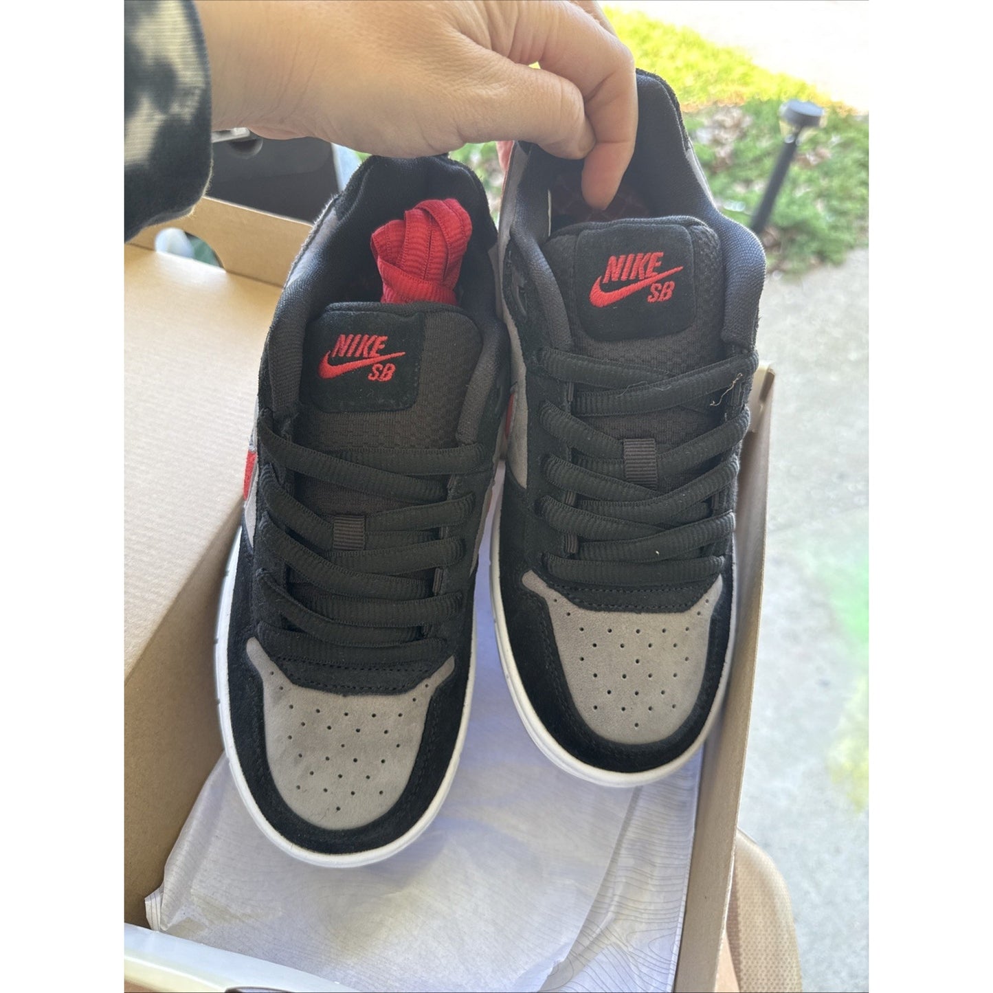 Size 6.5 - Nike Paul Rodriguez Zoom Air Low Bred