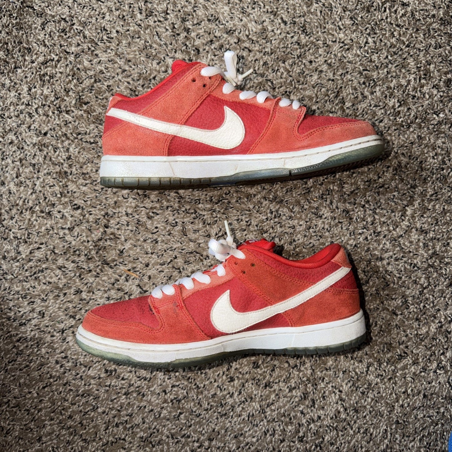 Size 9 - Nike Dunk Pro SB Low Challenge Red