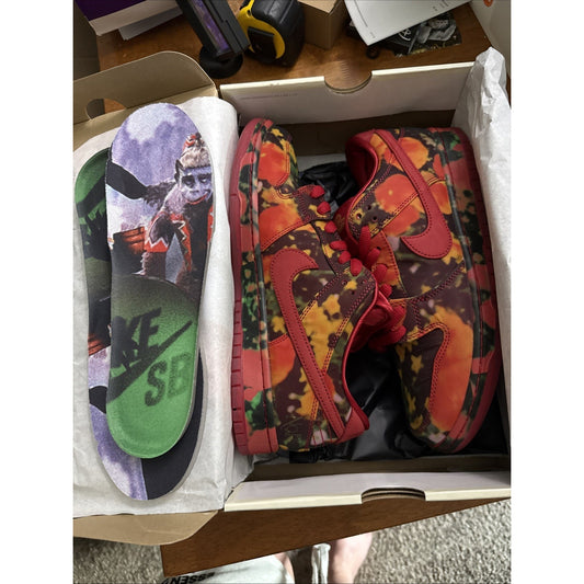 Nike Dunk SB Low Wizard of Oz Poppy Field Sz 10 New 313170-005👟