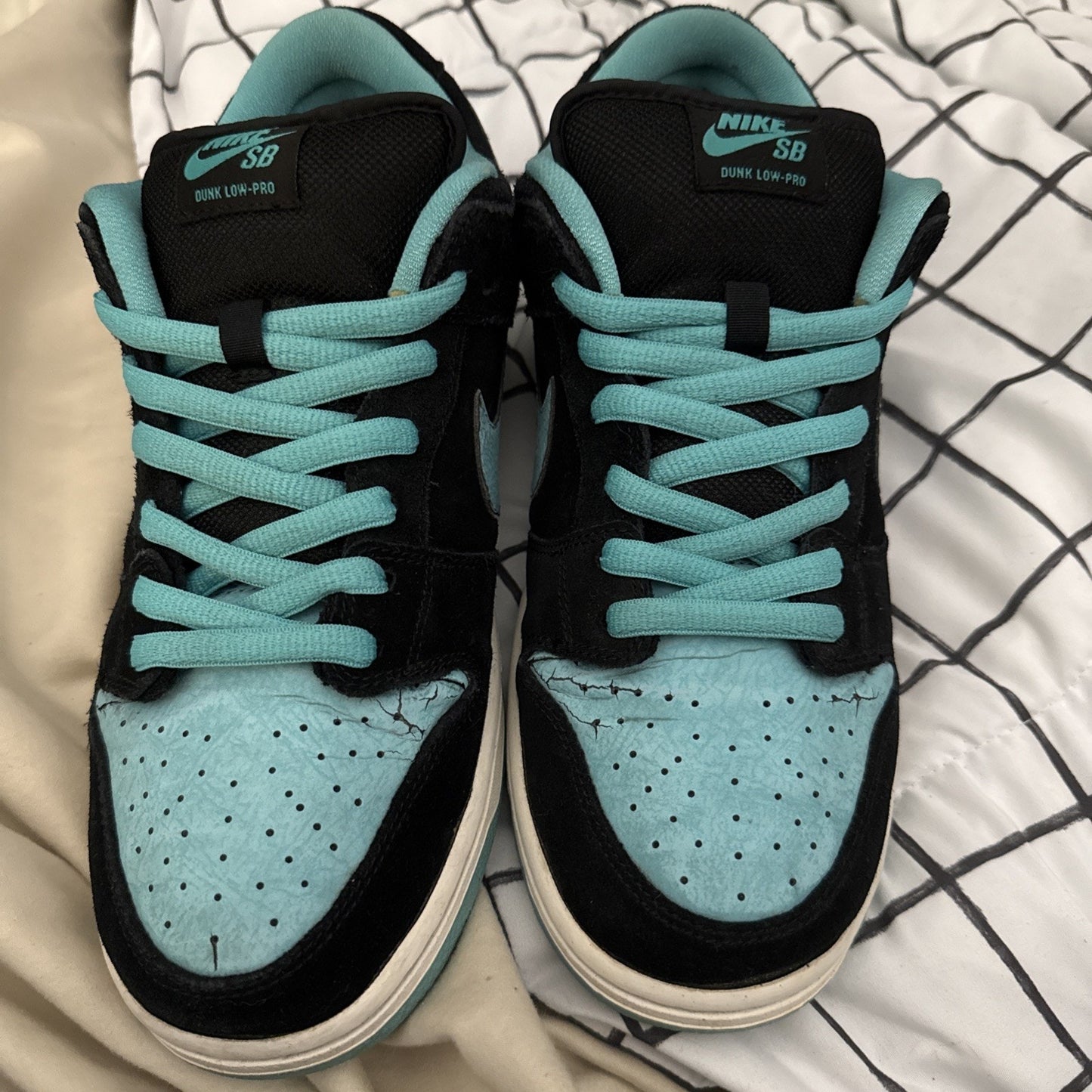 Size 10 - Nike Dunk Pro SB Low Clear Jade