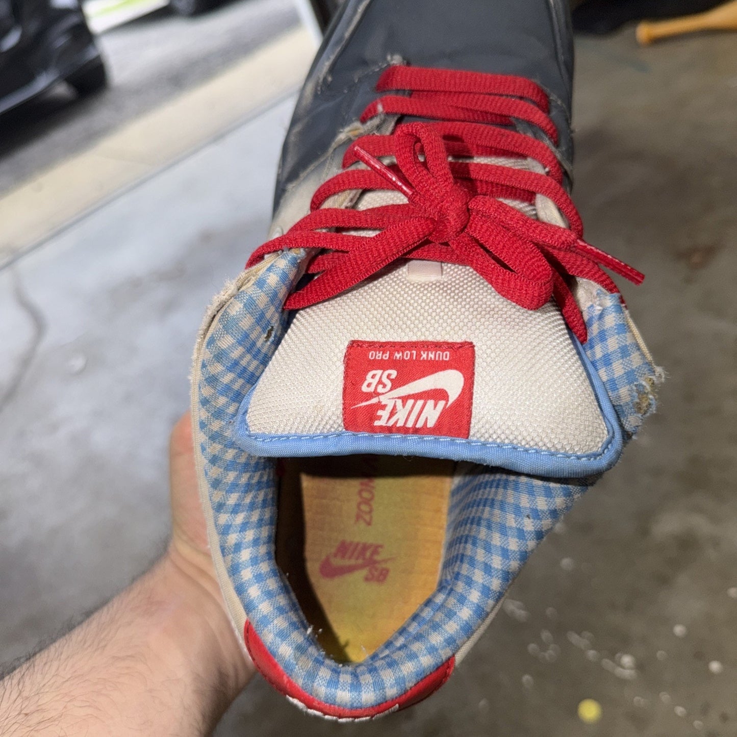 Size 11.5 - Nike Dunk Premium SB Low Dorothy